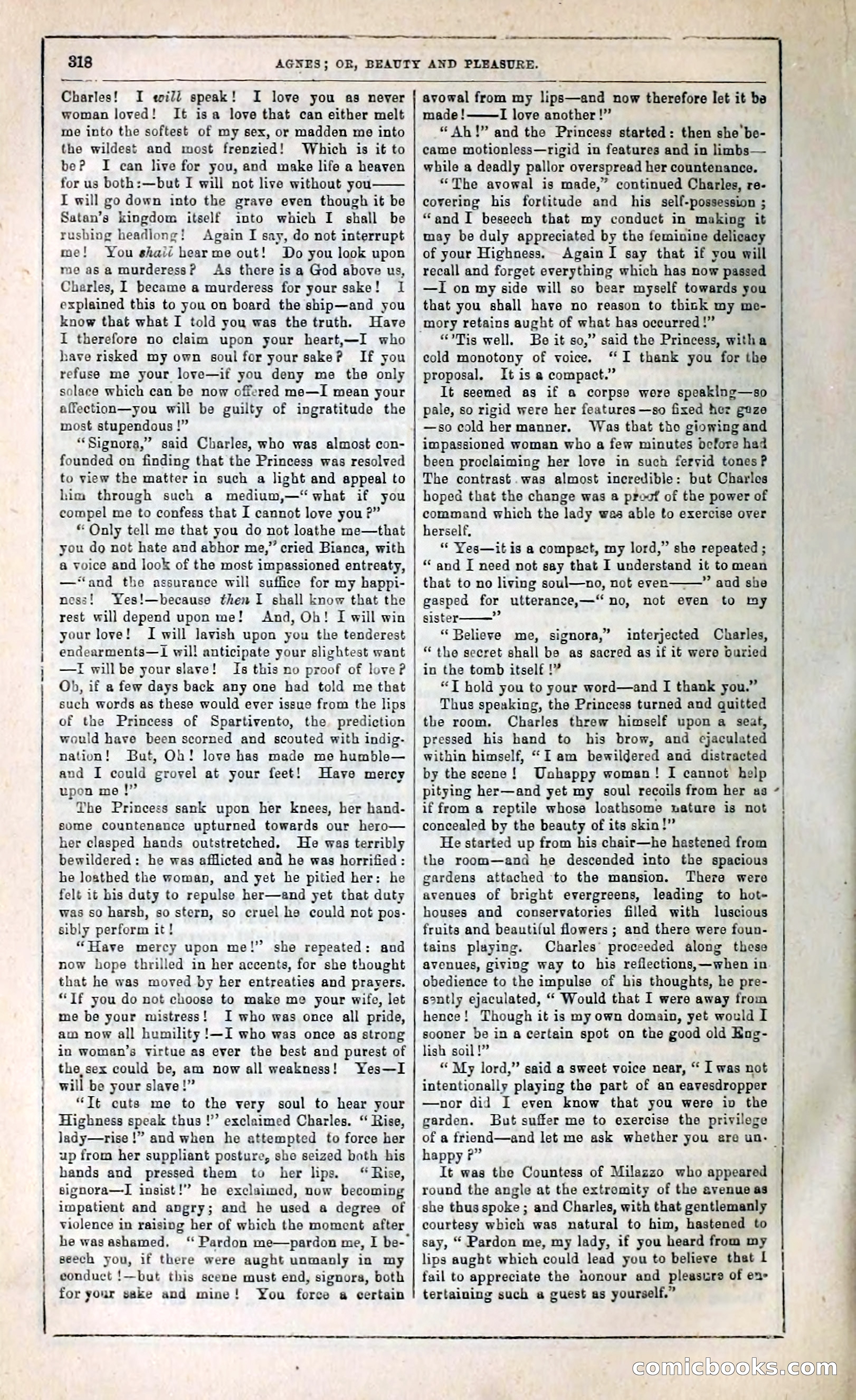 Agnes, or, Beauty and Pleasure — page 326 of 394