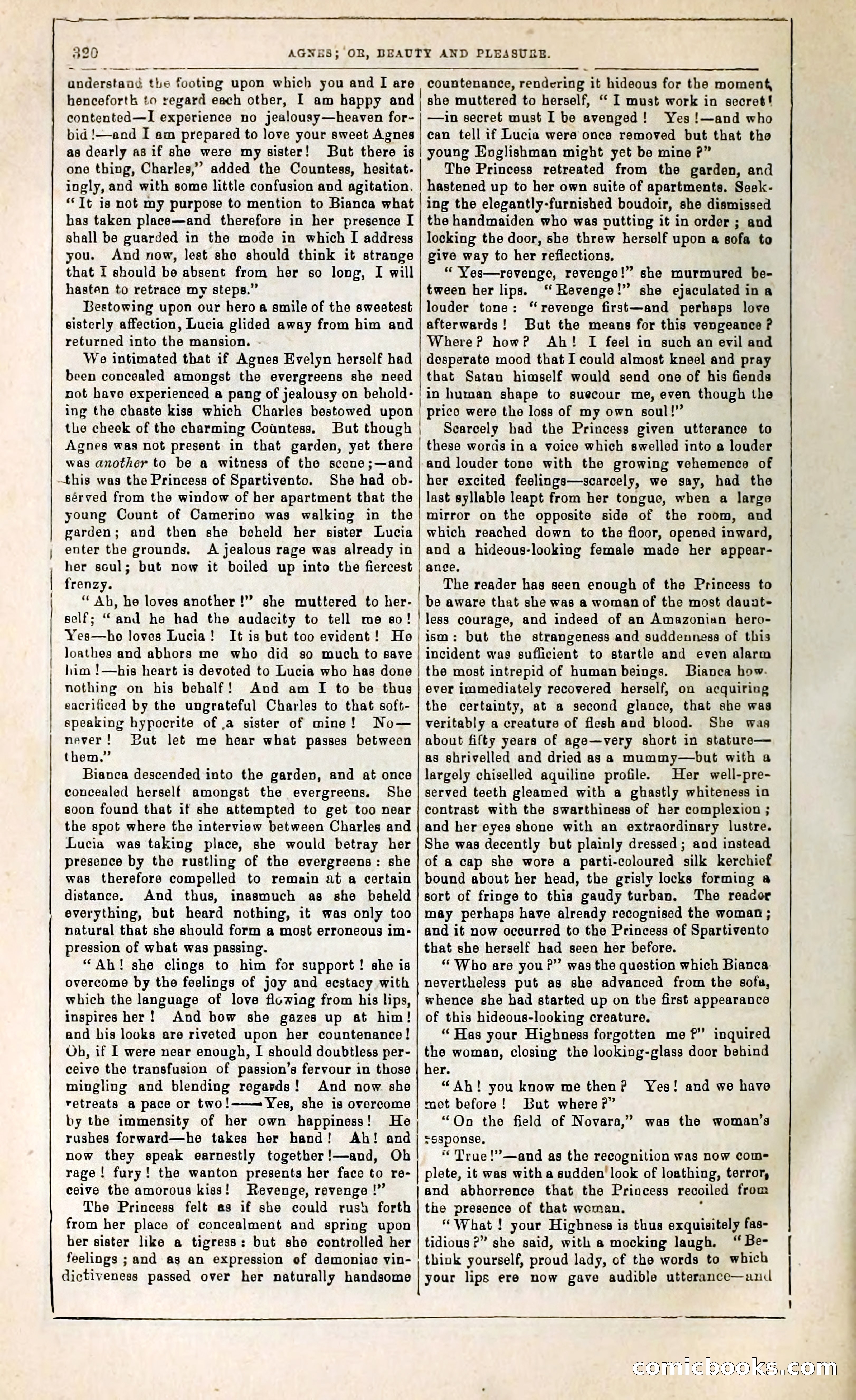 Agnes, or, Beauty and Pleasure — page 328 of 394