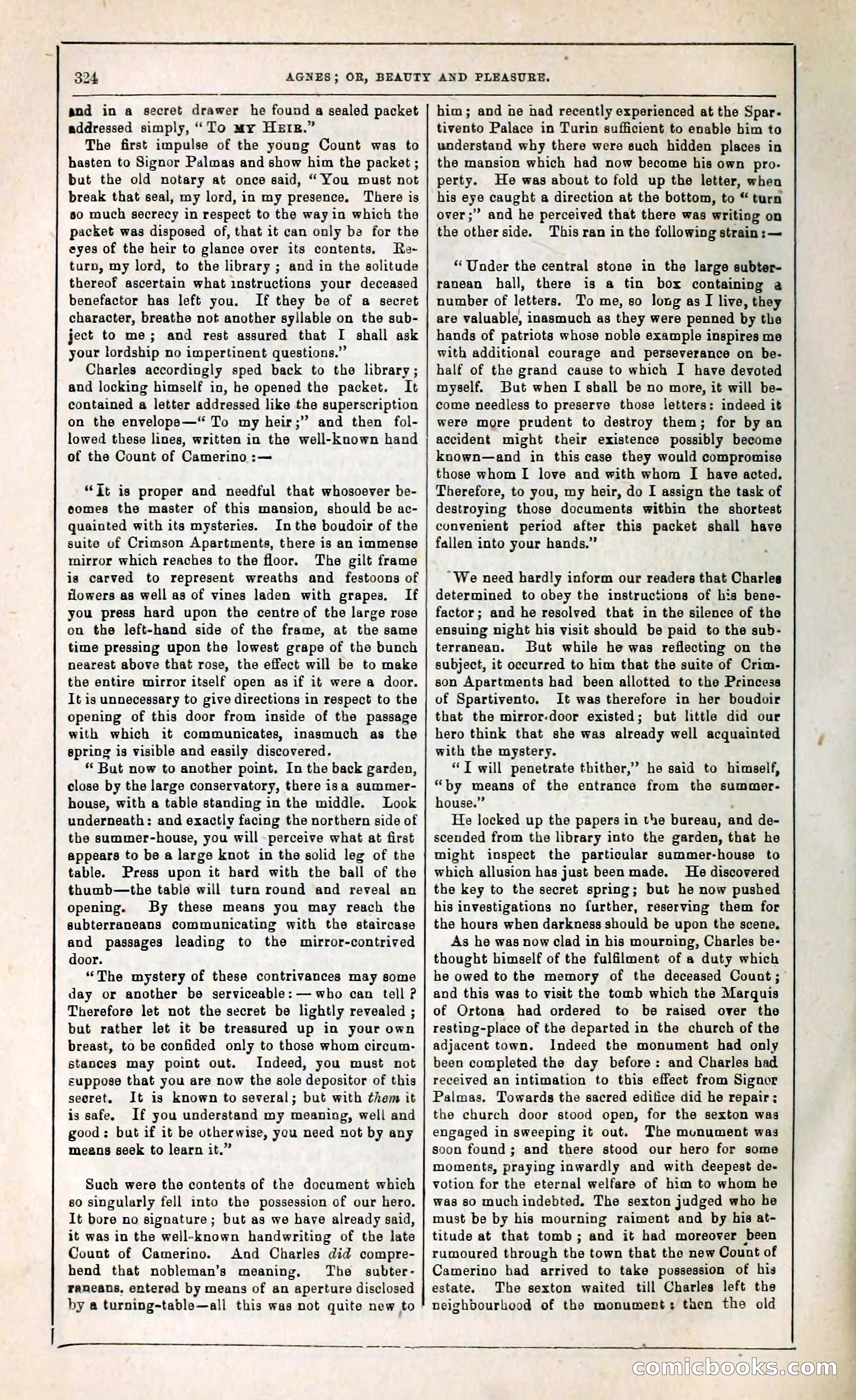 Agnes, or, Beauty and Pleasure — page 332 of 394