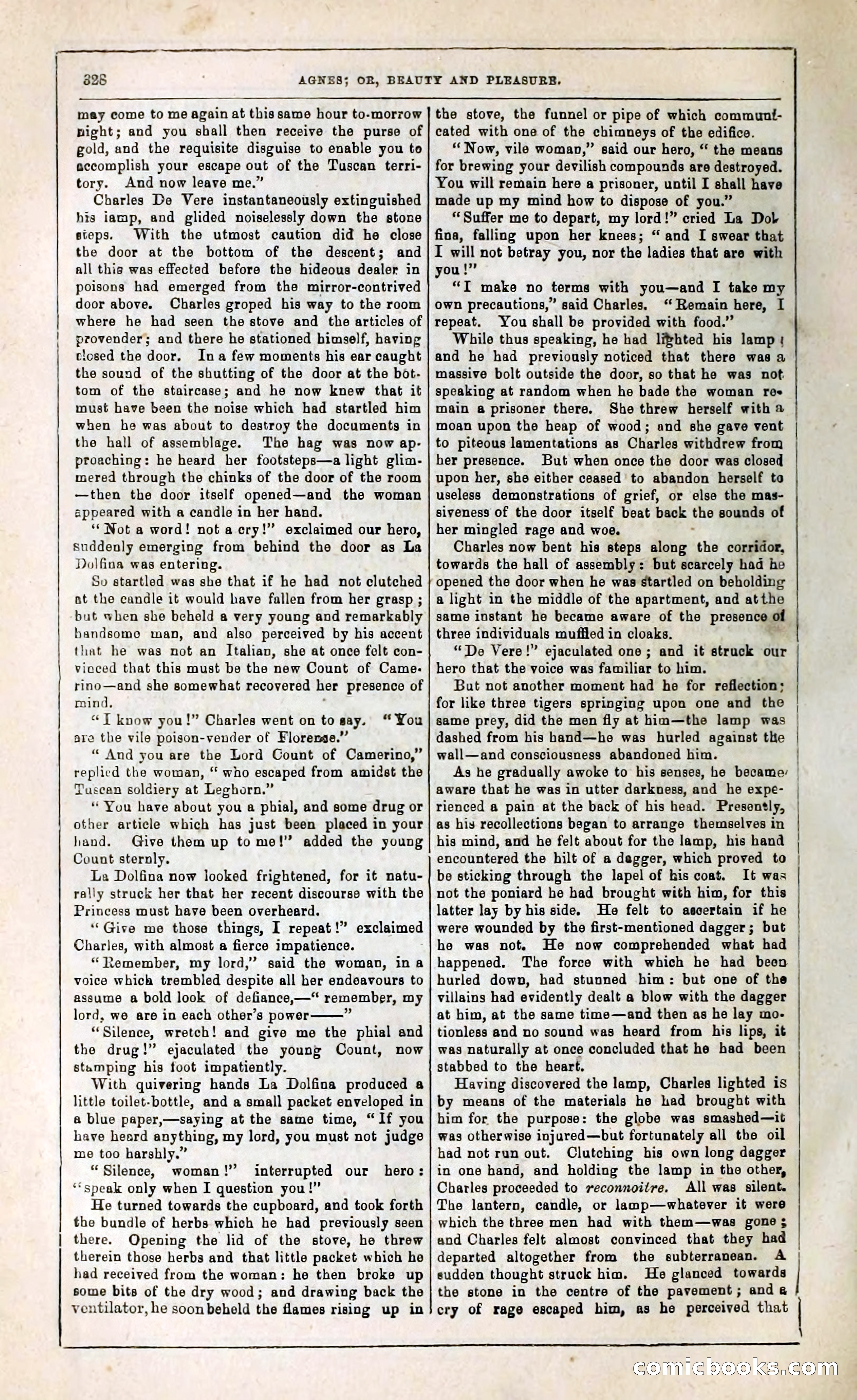 Agnes, or, Beauty and Pleasure — page 336 of 394