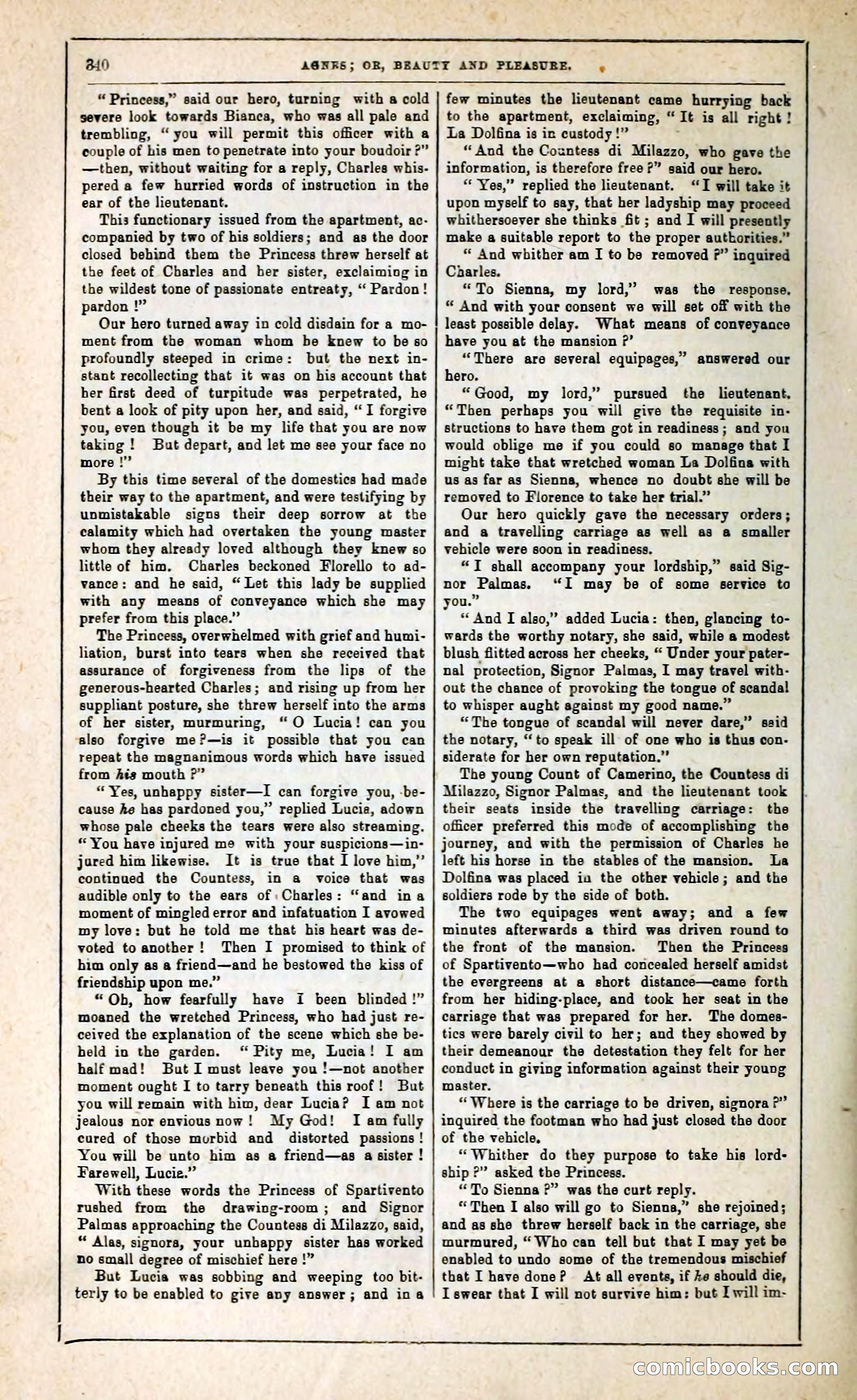 Agnes, or, Beauty and Pleasure — page 348 of 394