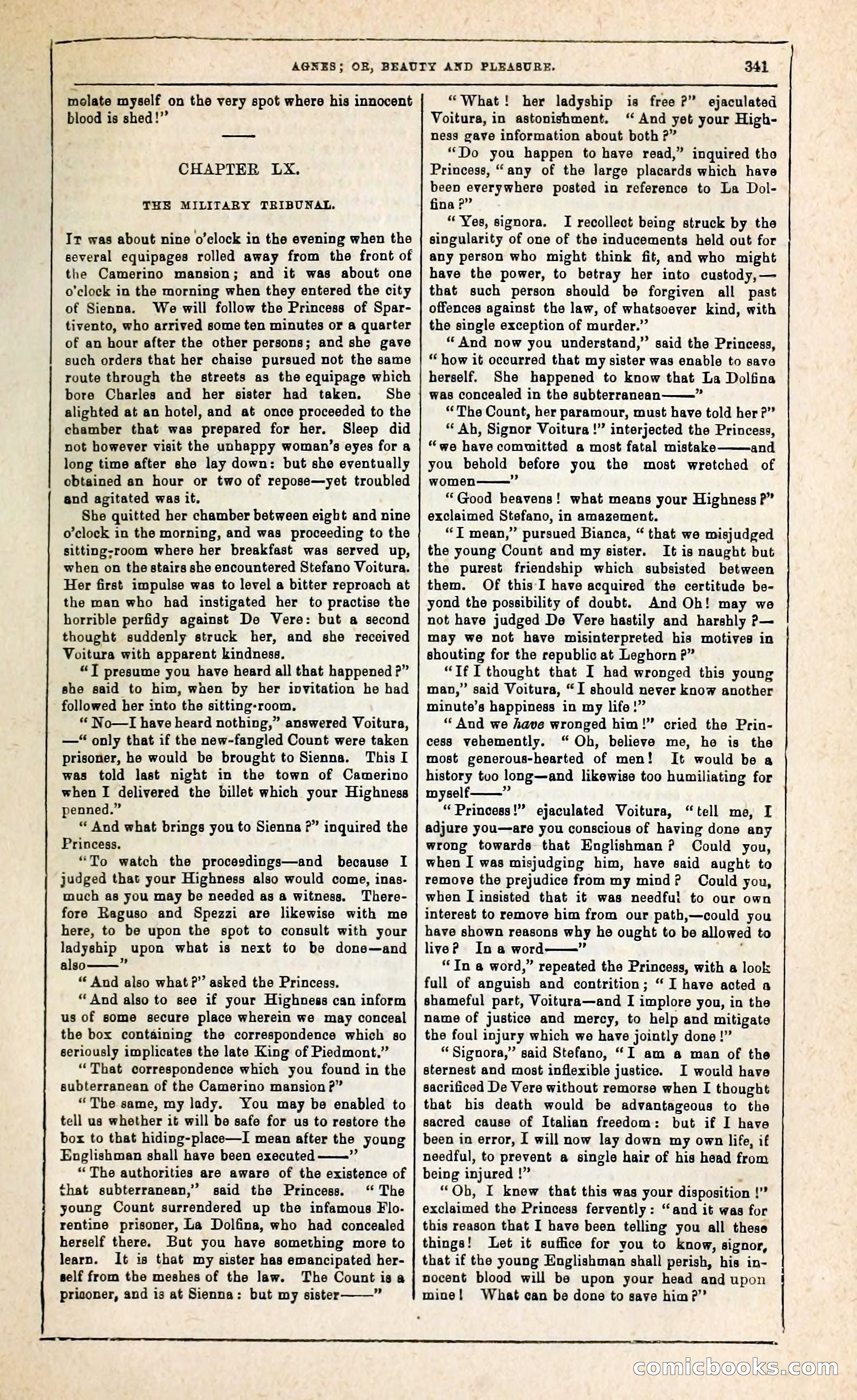 Agnes, or, Beauty and Pleasure — page 349 of 394