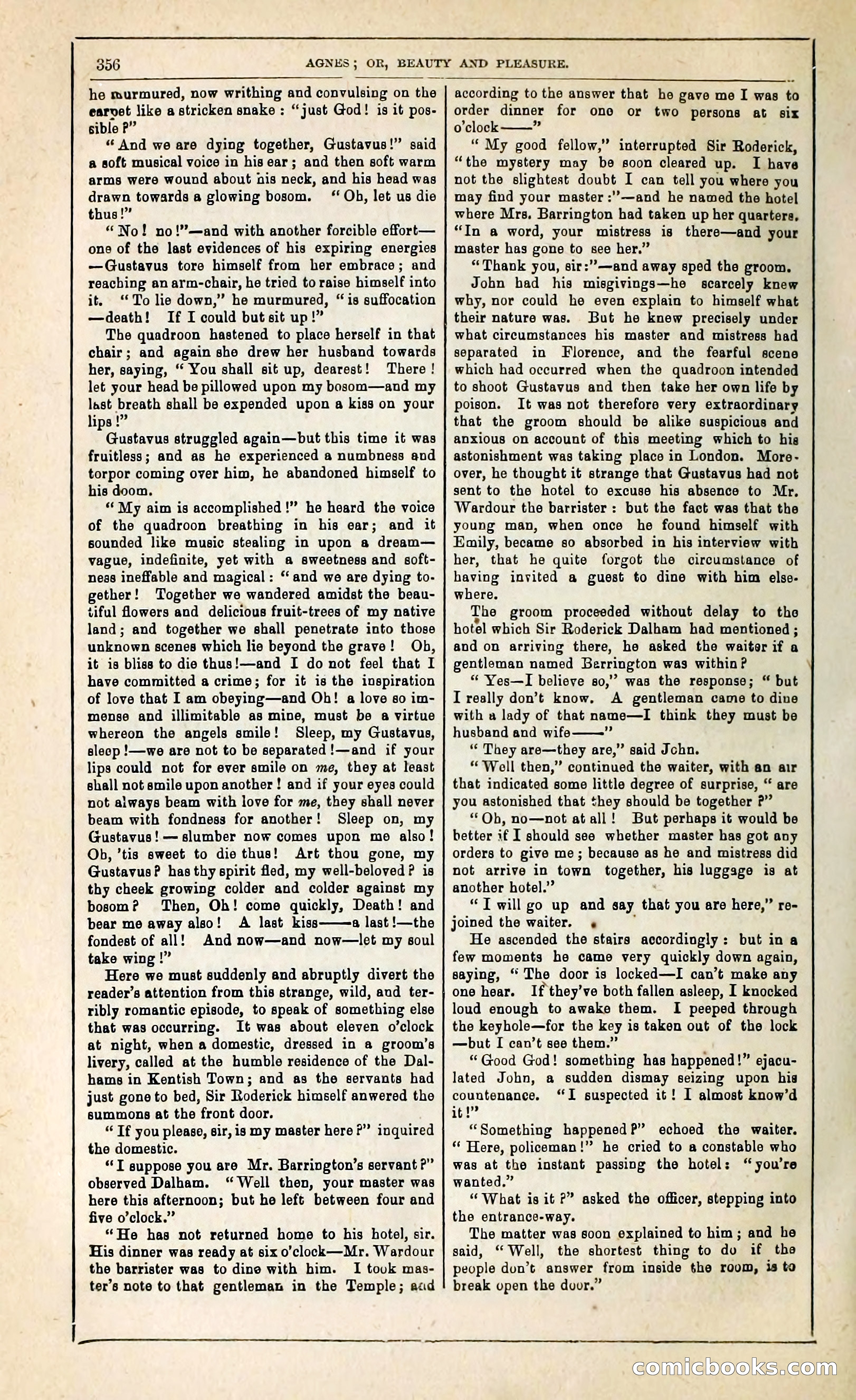 Agnes, or, Beauty and Pleasure — page 364 of 394
