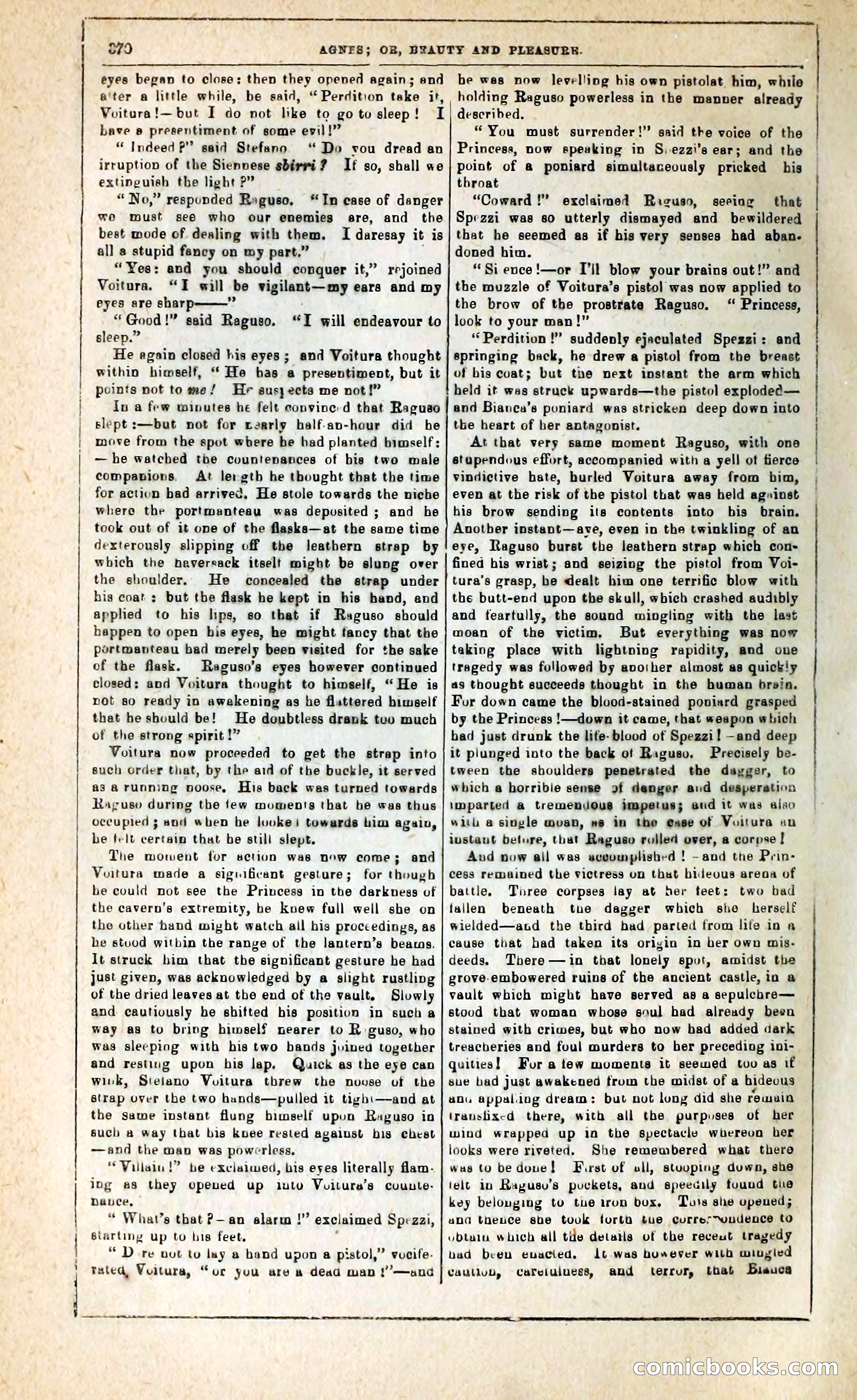 Agnes, or, Beauty and Pleasure — page 378 of 394