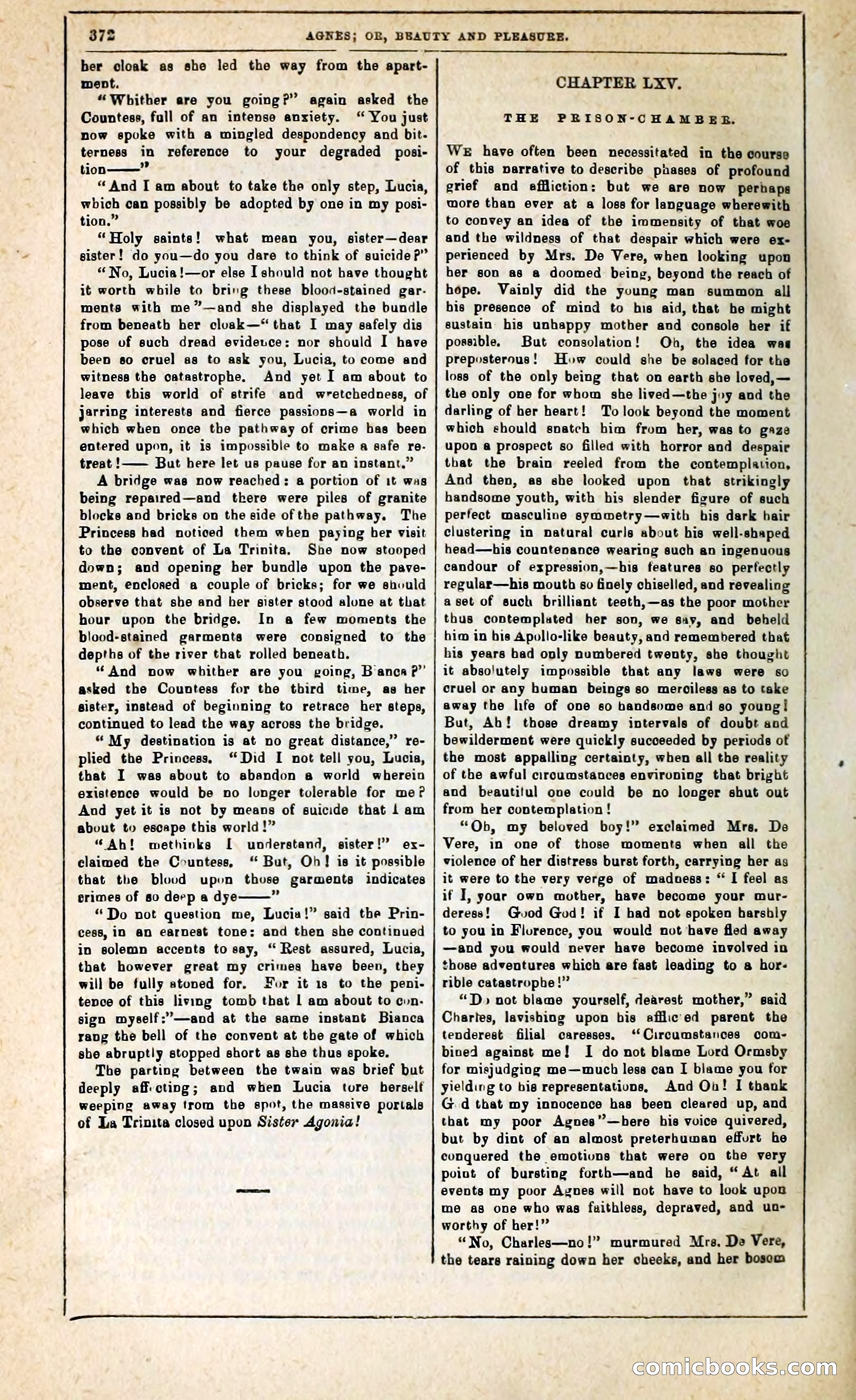 Agnes, or, Beauty and Pleasure — page 380 of 394