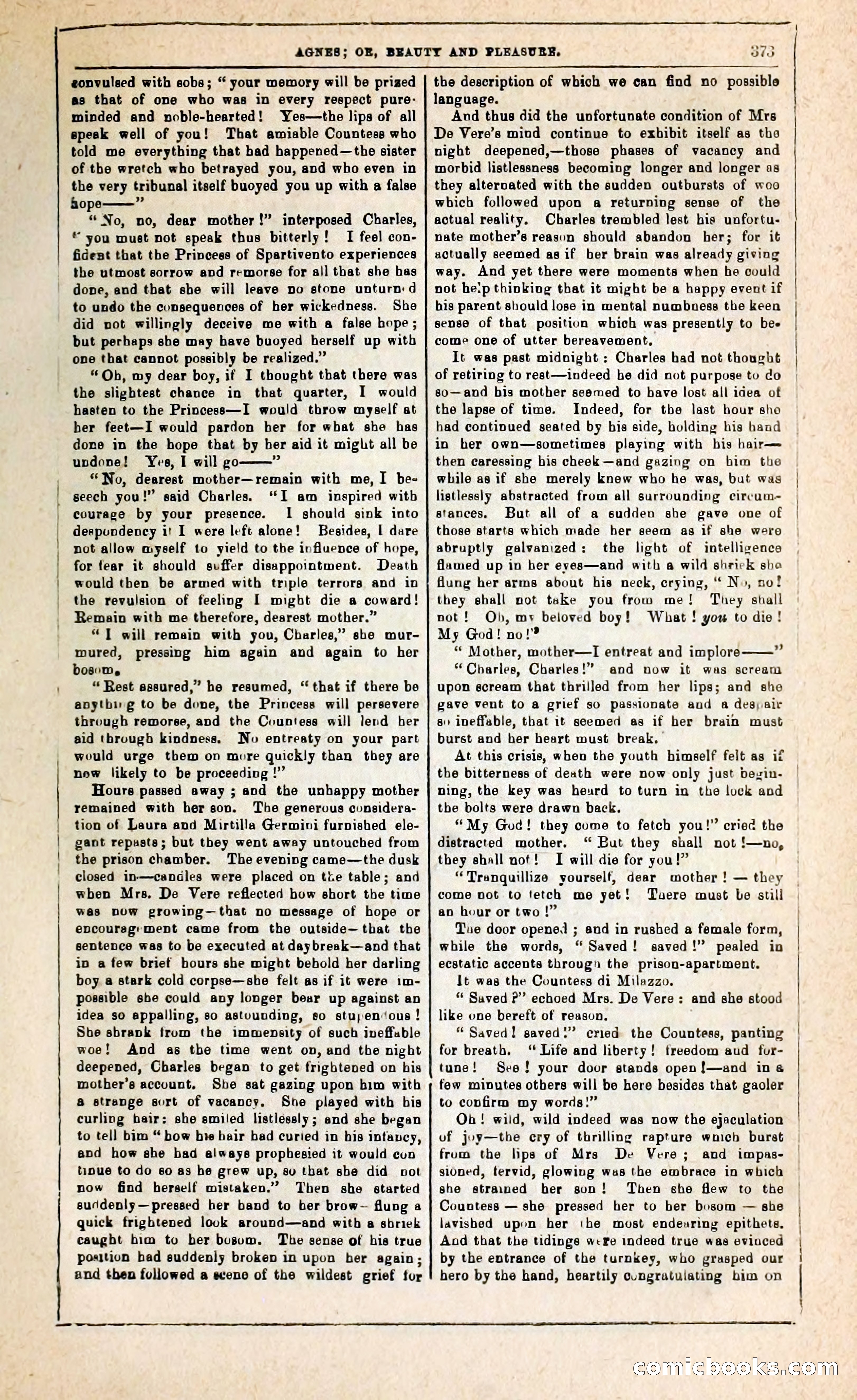 Agnes, or, Beauty and Pleasure — page 381 of 394