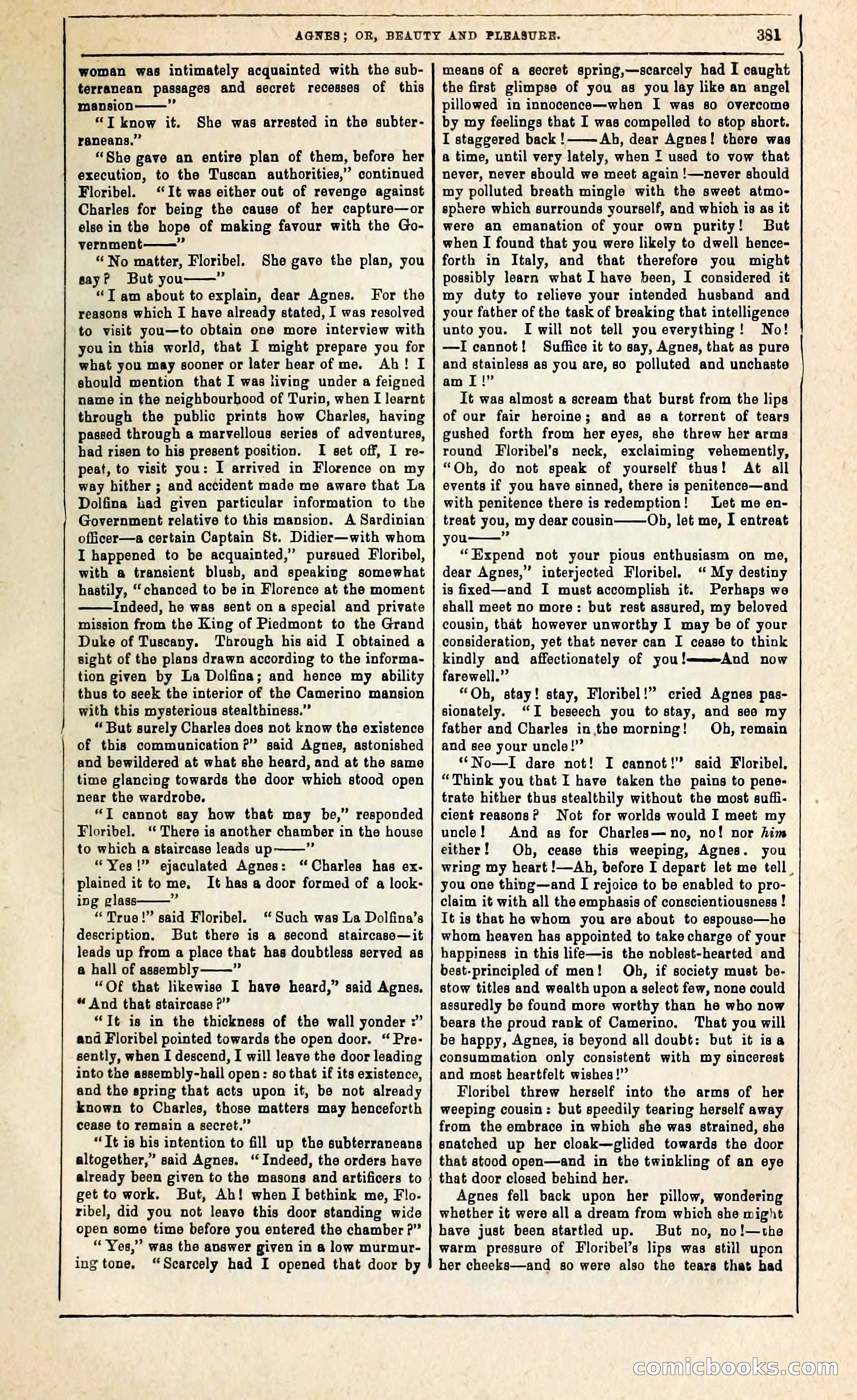 Agnes, or, Beauty and Pleasure — page 389 of 394