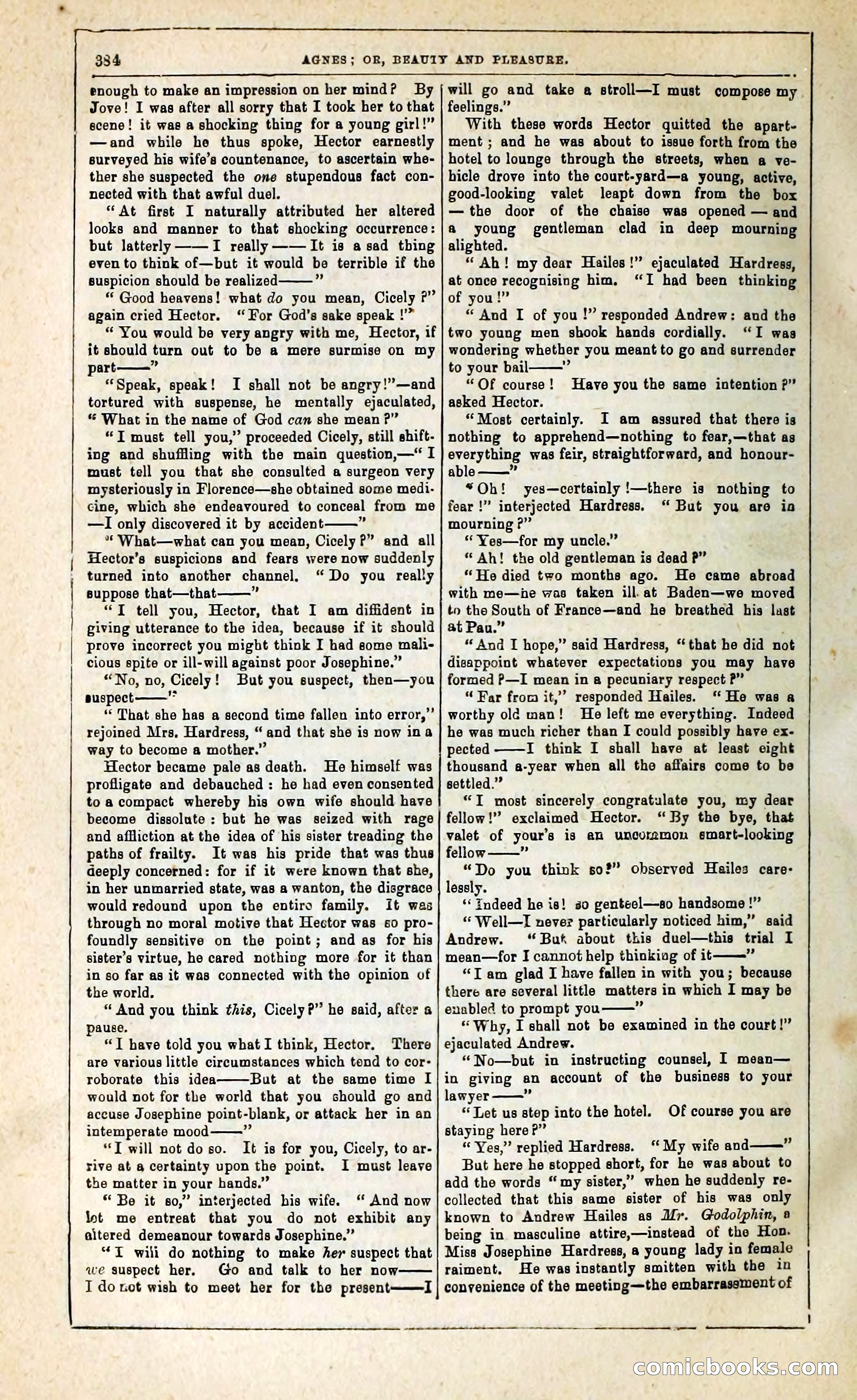 Agnes, or, Beauty and Pleasure — page 392 of 394