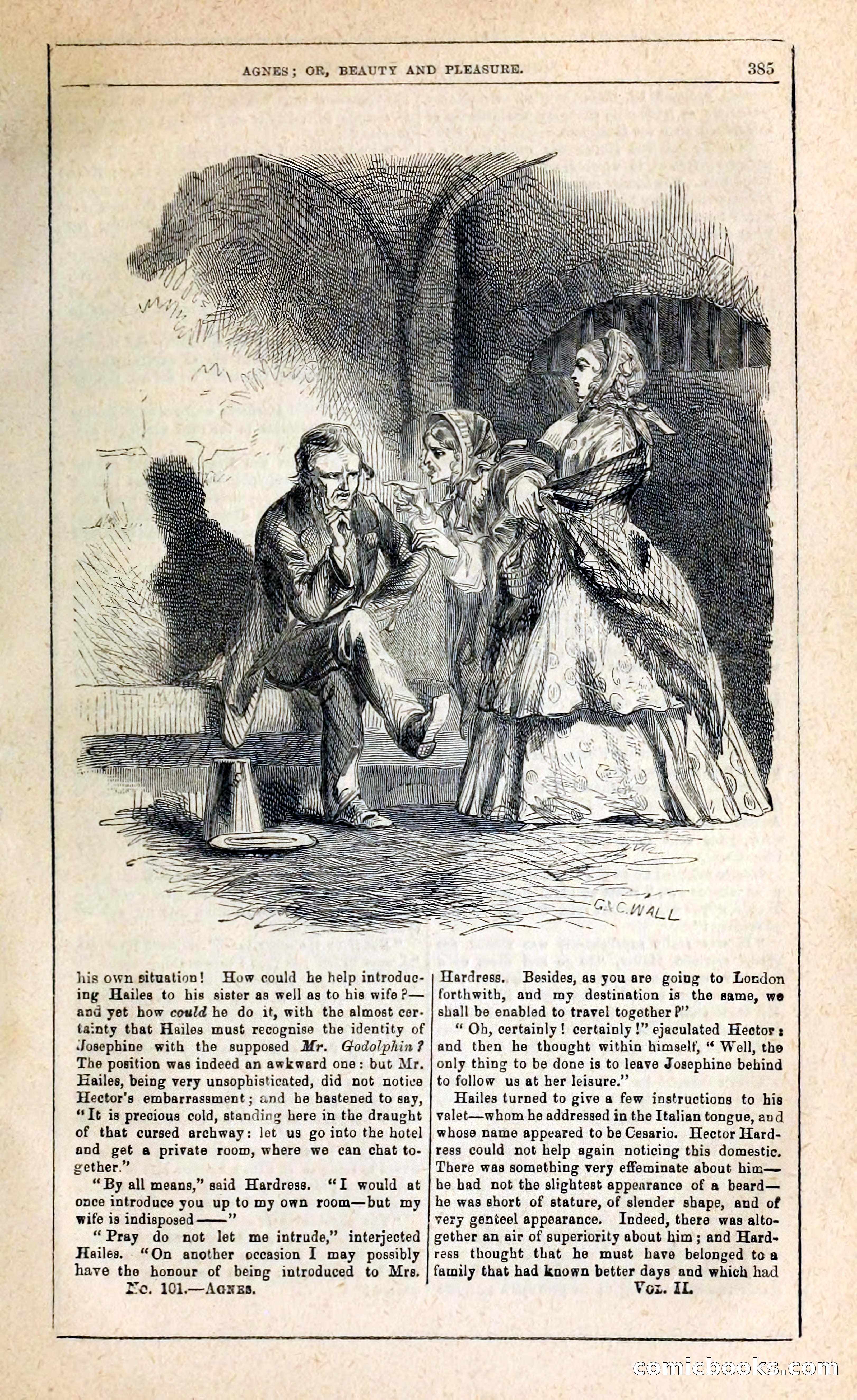 Agnes, or, Beauty and Pleasure — page 393 of 394
