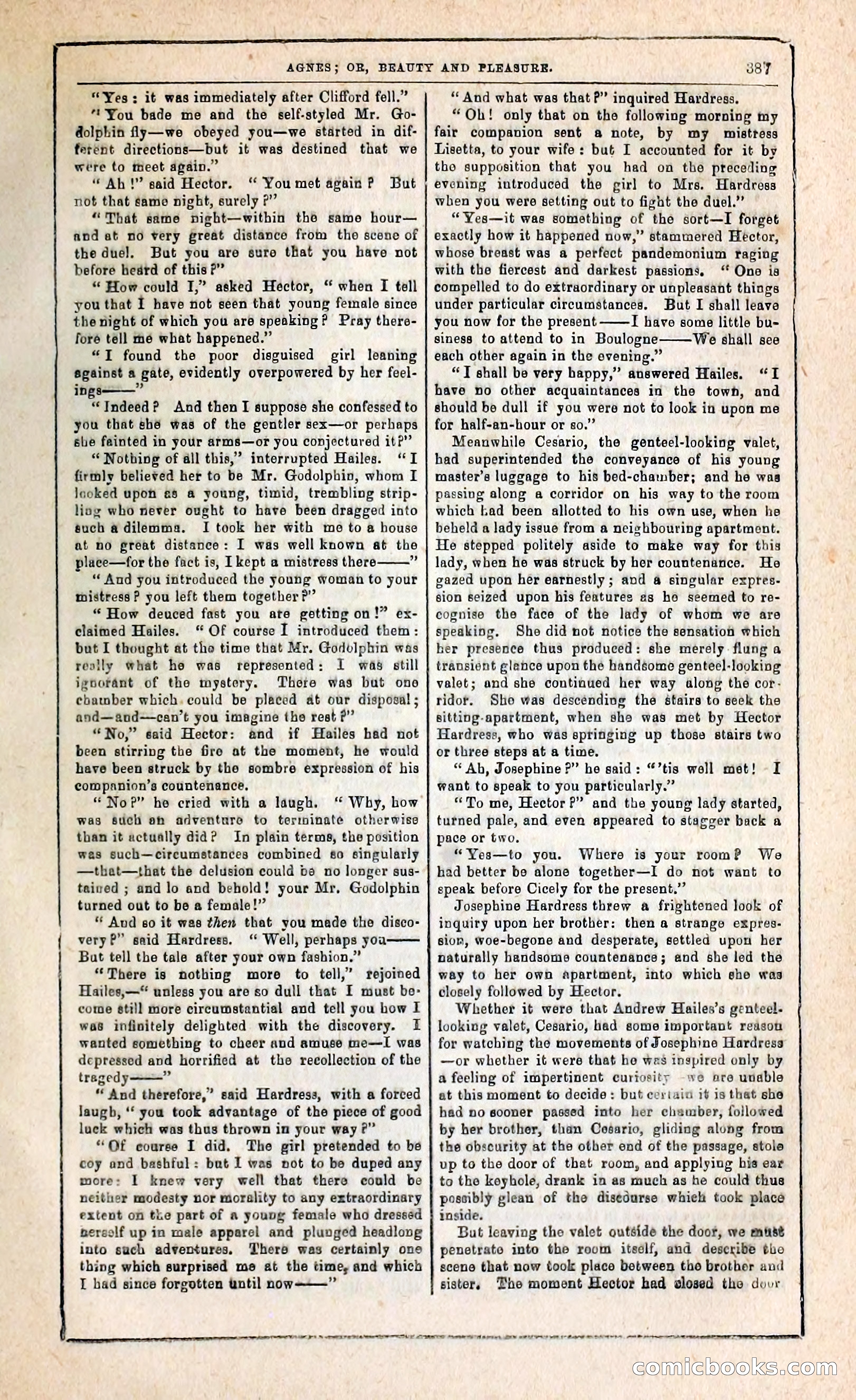 Agnes, or, Beauty and Pleasure — page 395 of 394