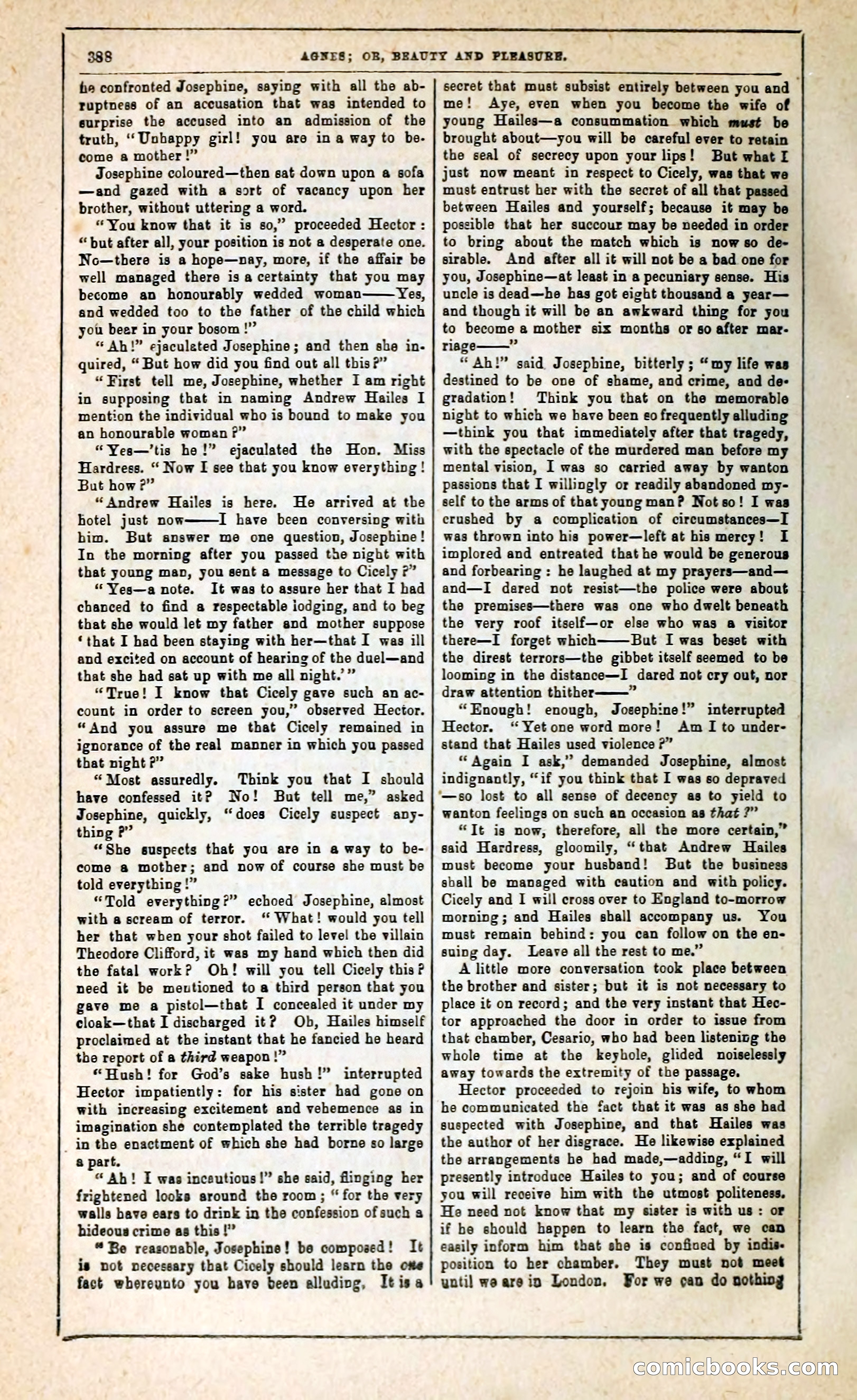 Agnes, or, Beauty and Pleasure — page 396 of 394