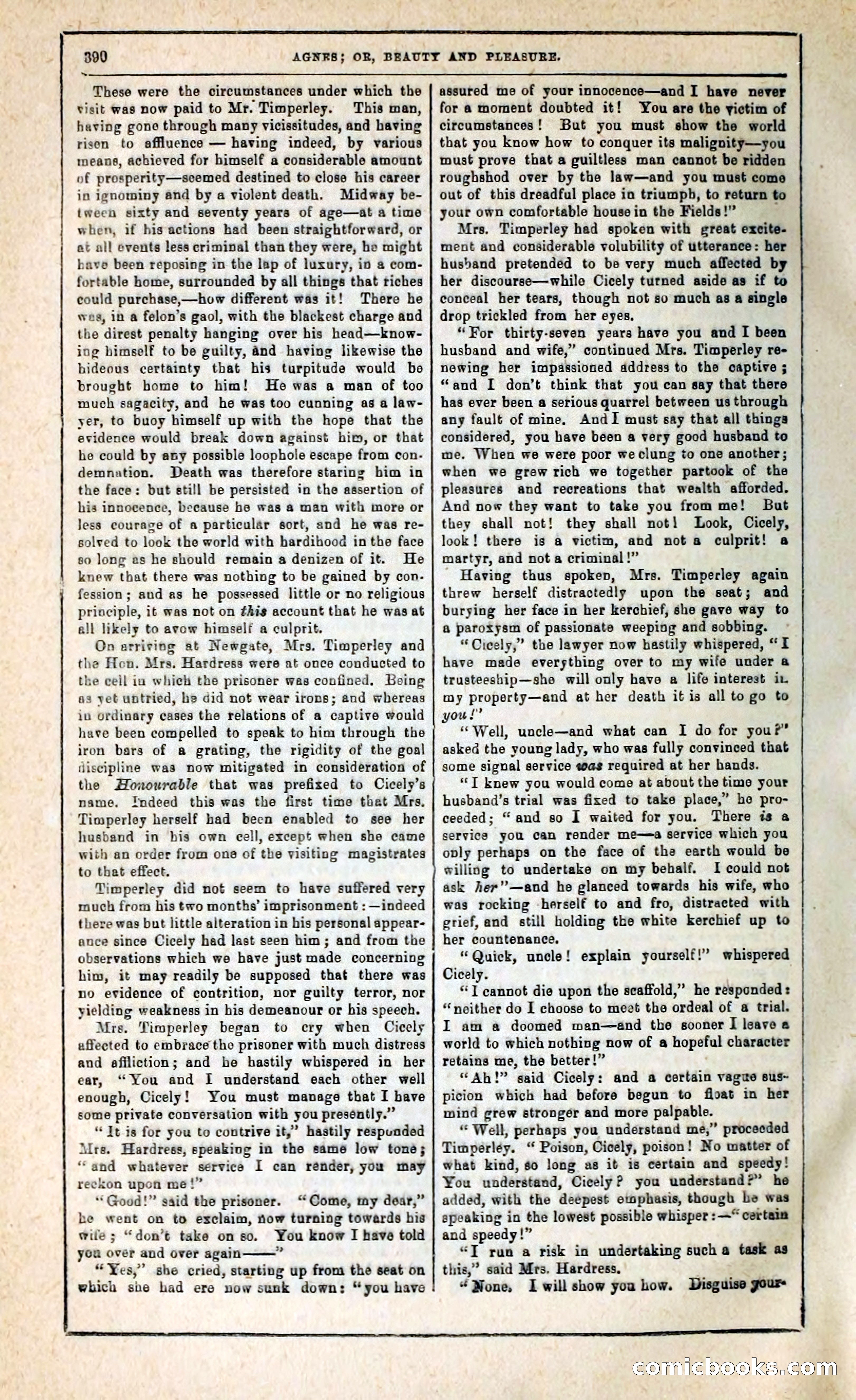 Agnes, or, Beauty and Pleasure — page 398 of 394