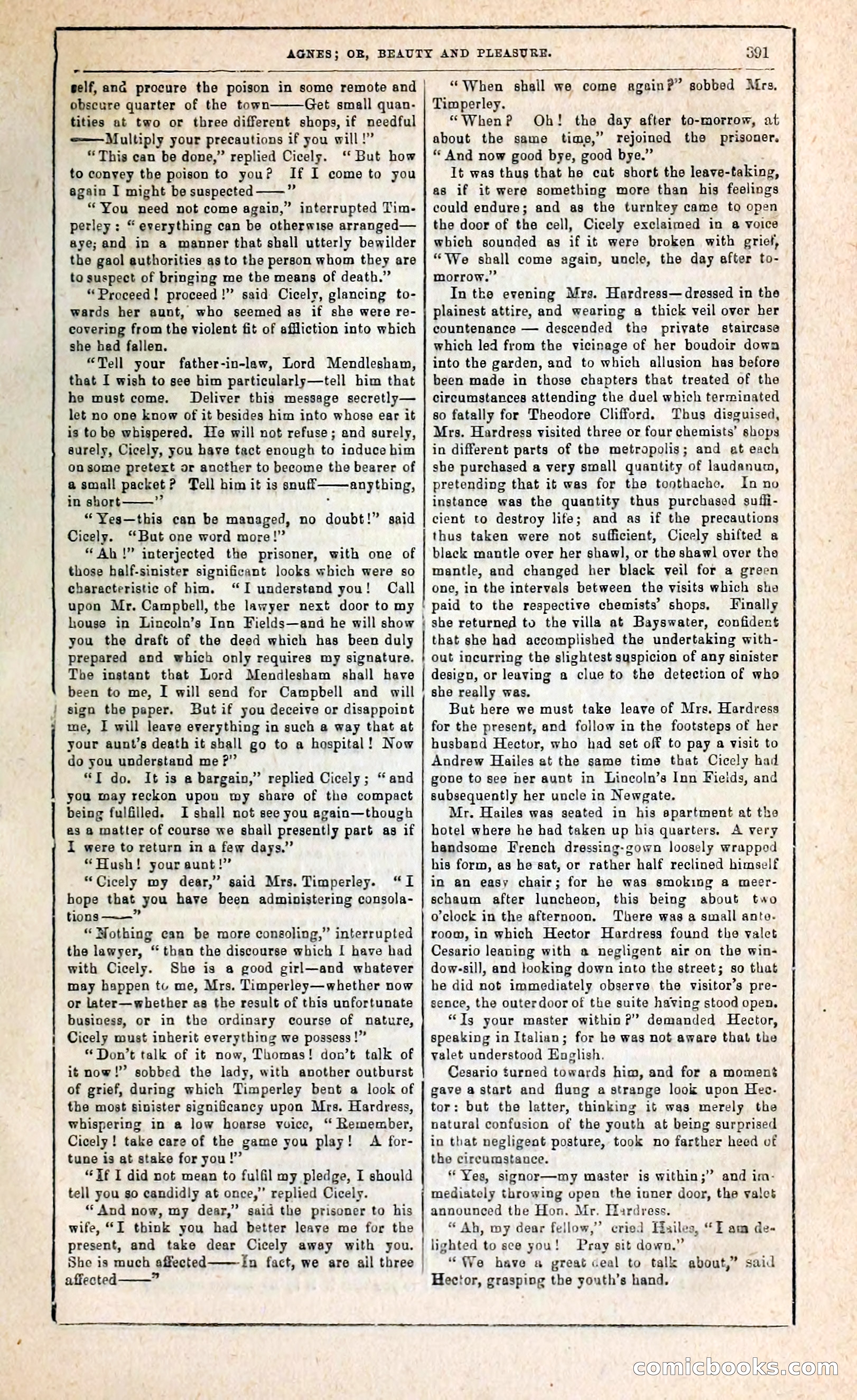 Agnes, or, Beauty and Pleasure — page 399 of 394