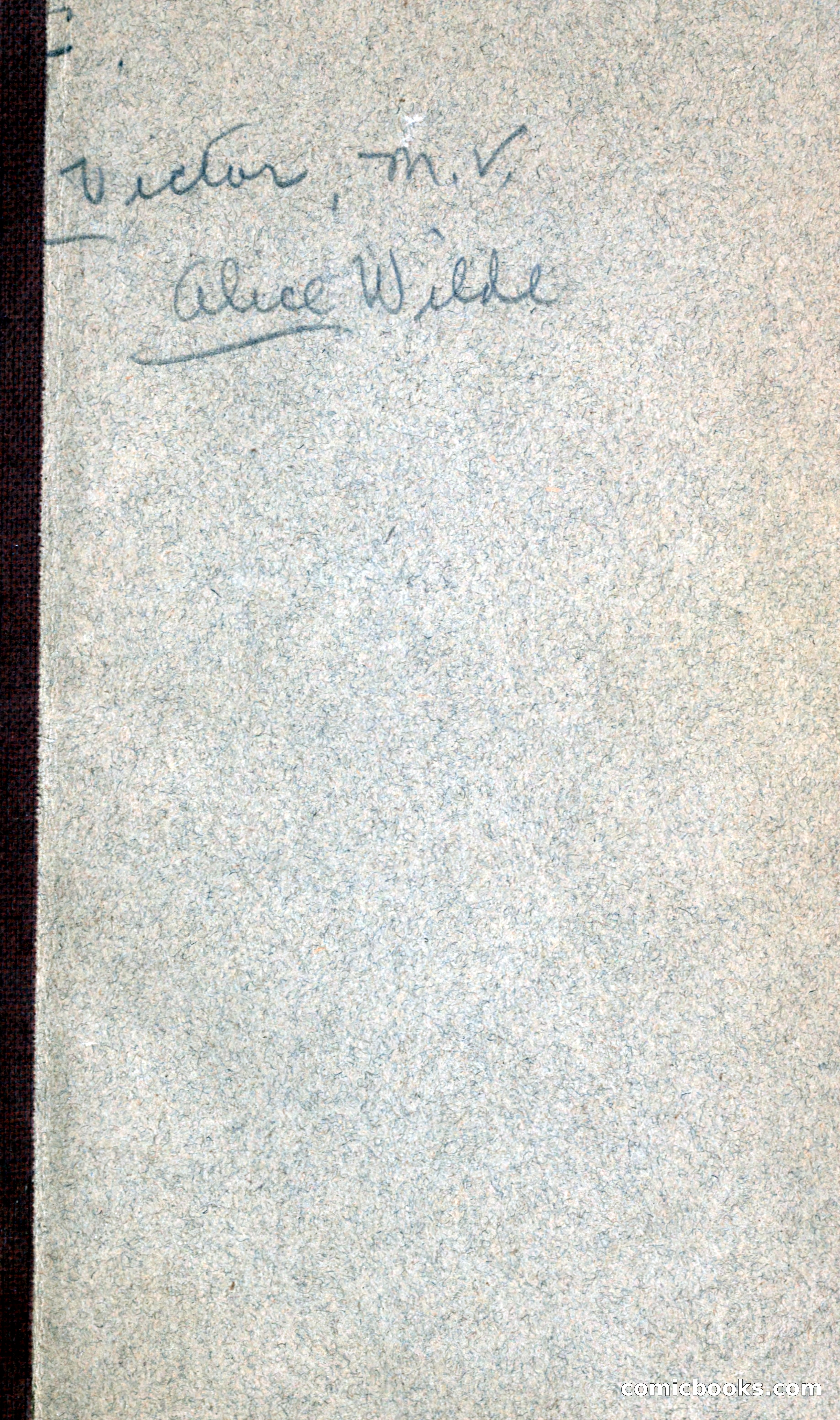 Alice Wilde: The Raftsman's Daughter — page 3 of 140