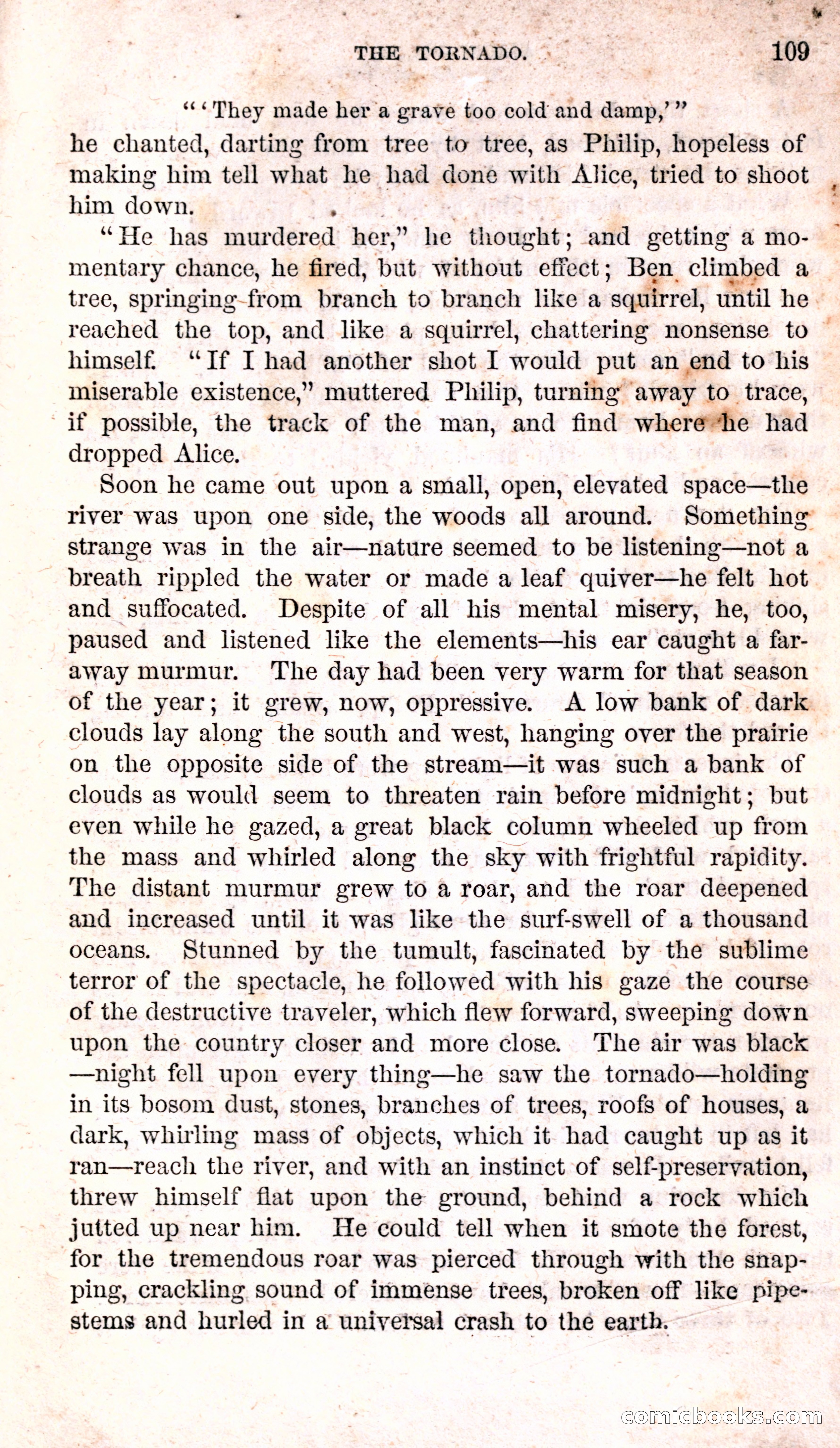 Alice Wilde: The Raftsman's Daughter — page 113 of 140