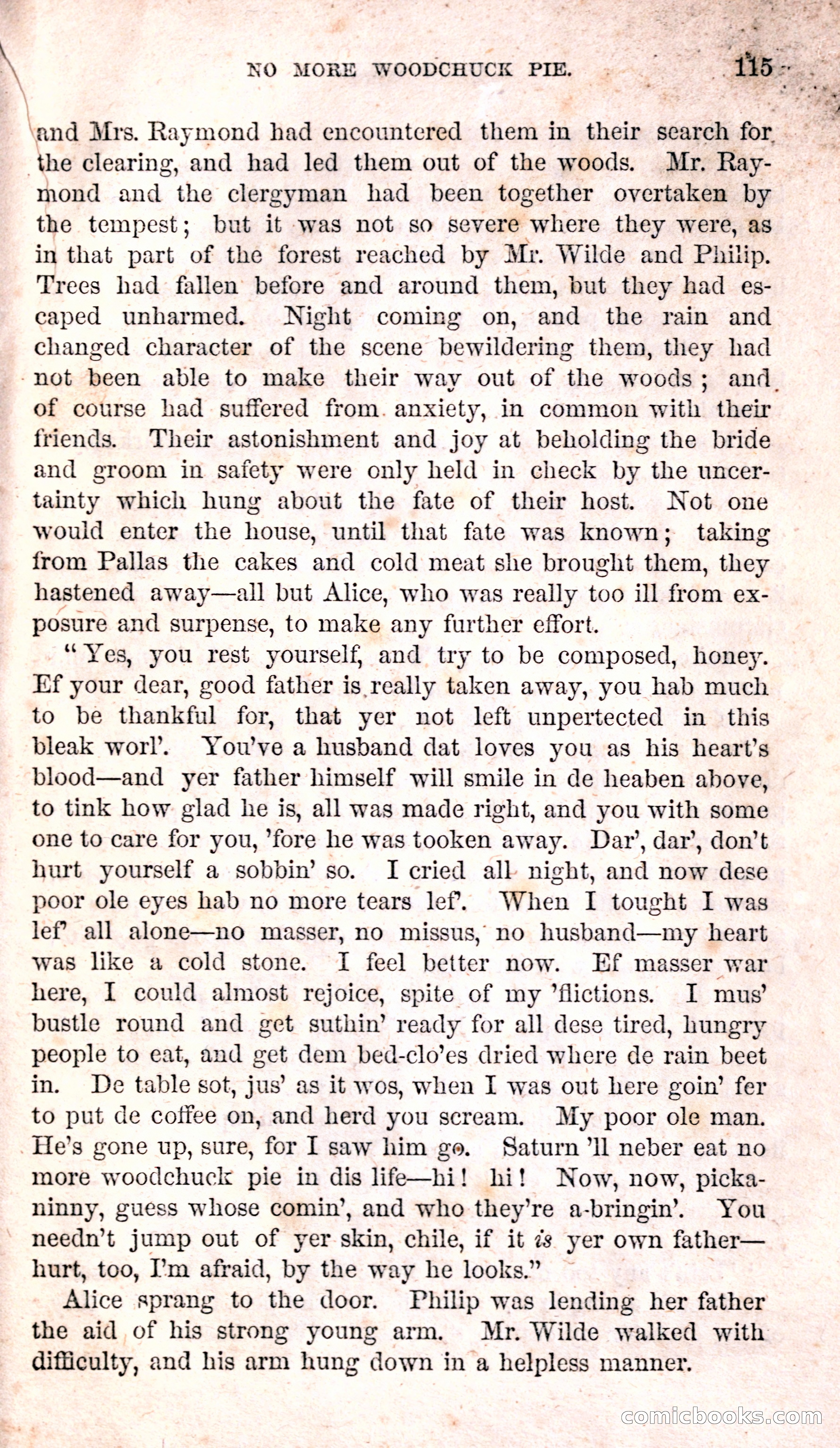 Alice Wilde: The Raftsman's Daughter — page 119 of 140