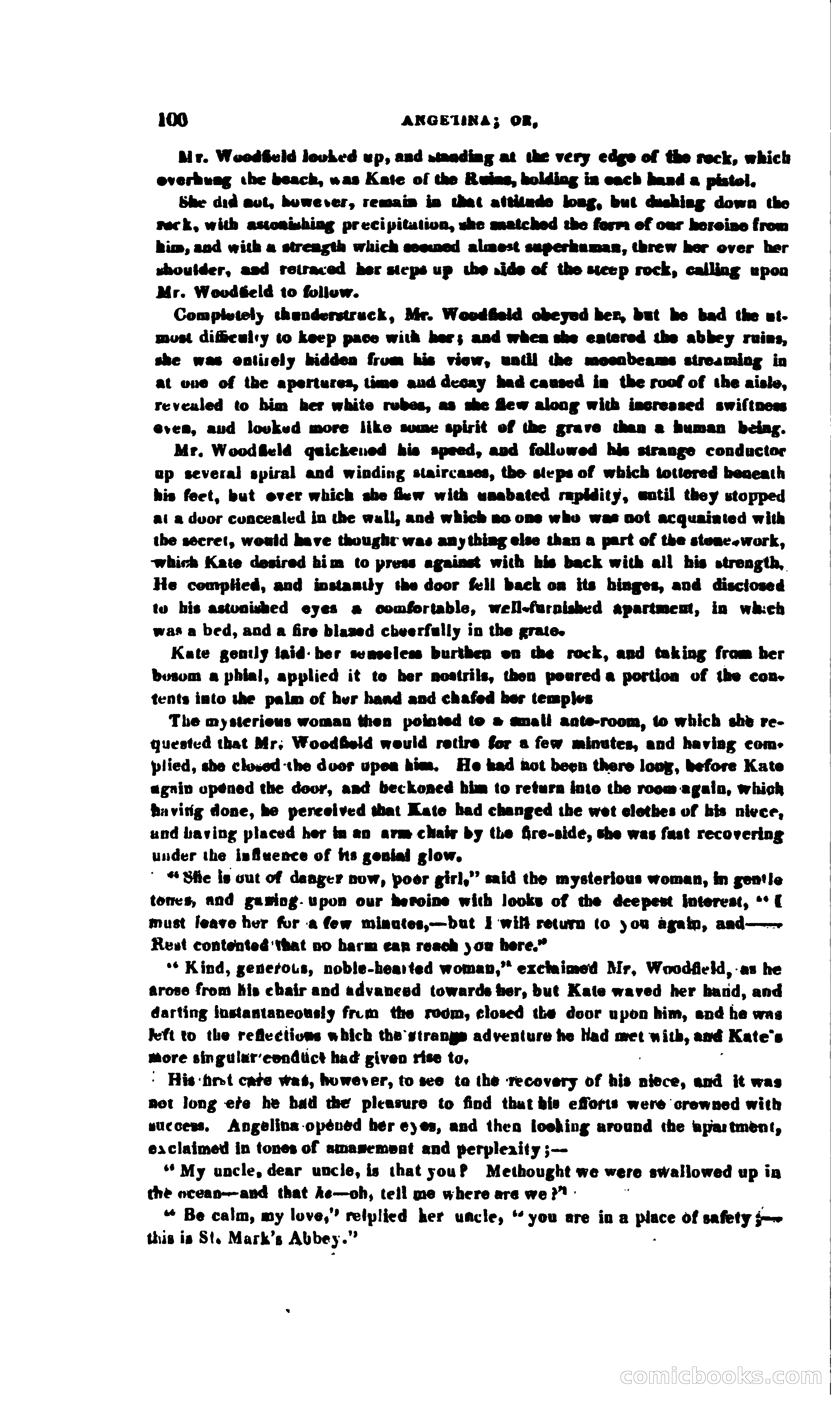 Angelina: Or, The Mystery of St. Mark's Abbey — page 113 of 248