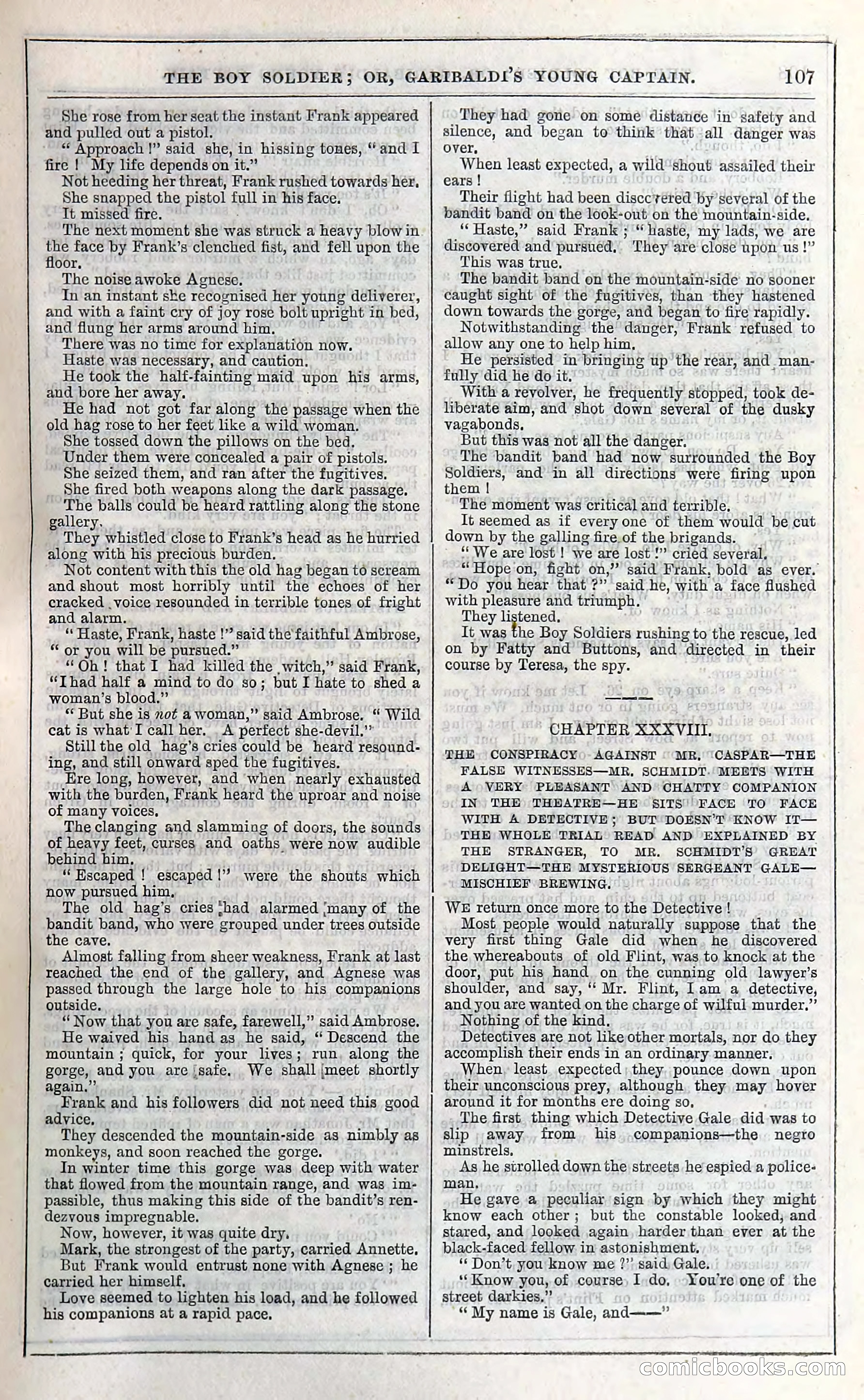 The Boy Soldier; Or, Garibaldi's Young Captain — page 113 of 390