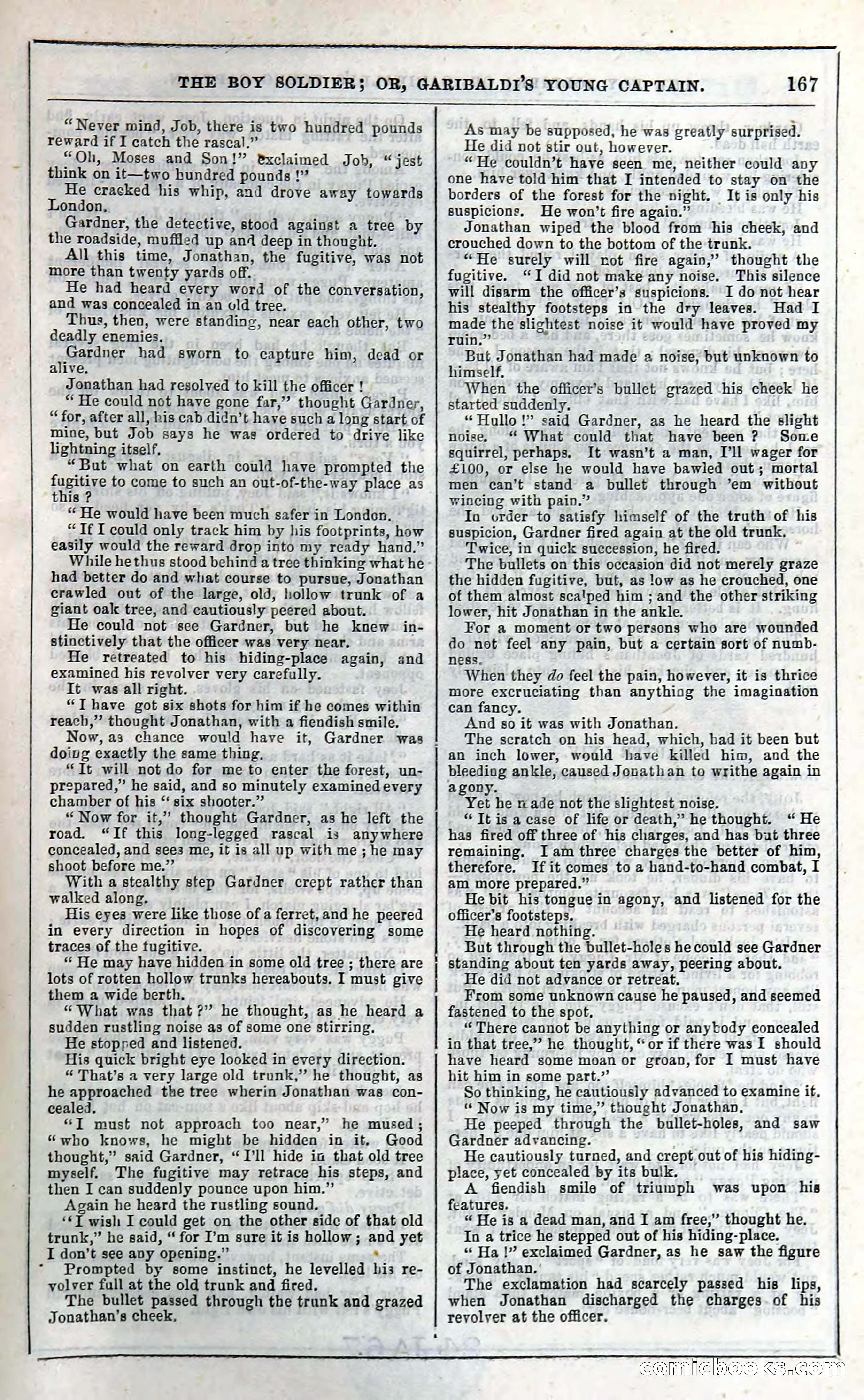 The Boy Soldier; Or, Garibaldi's Young Captain — page 173 of 390
