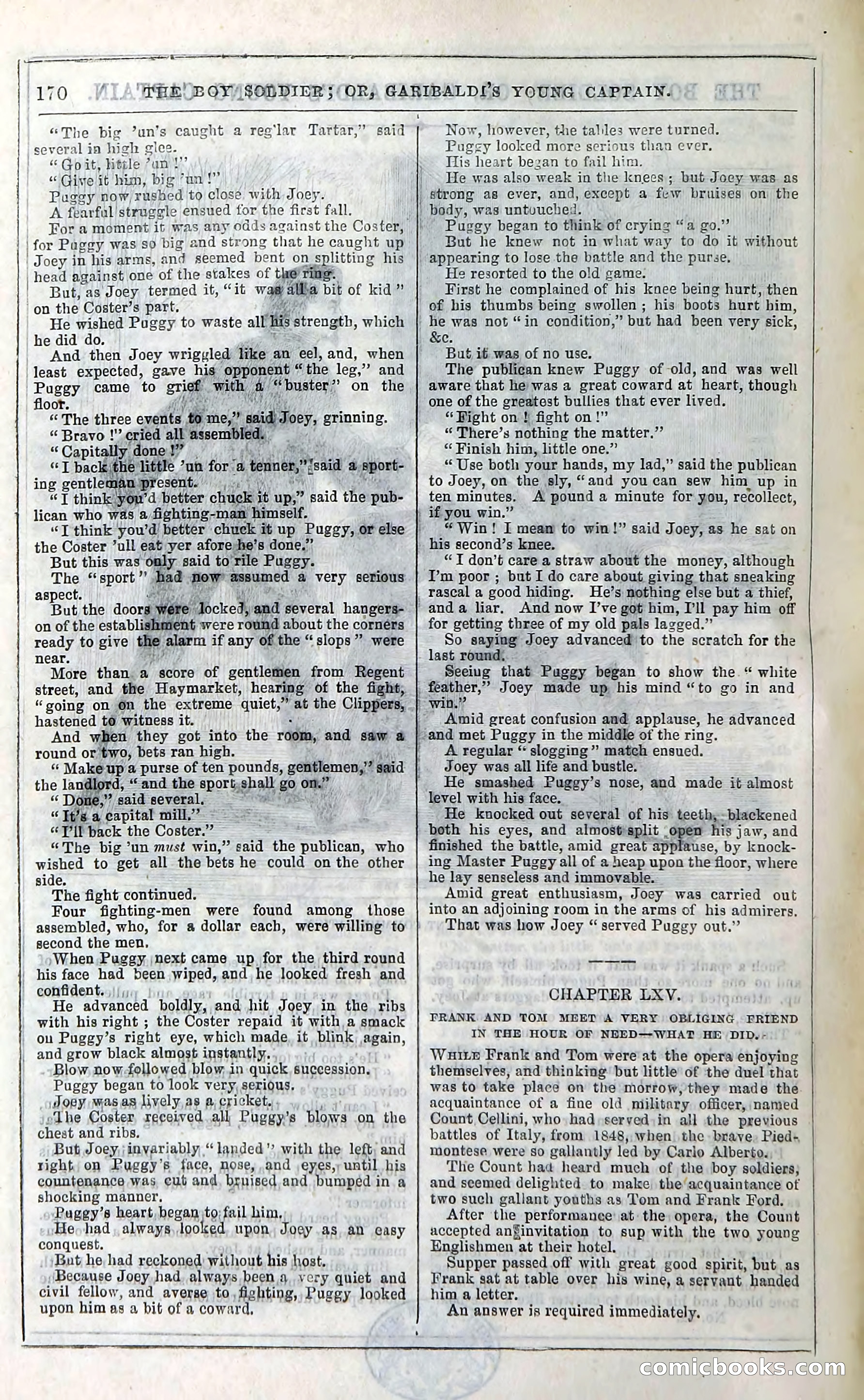 The Boy Soldier; Or, Garibaldi's Young Captain — page 176 of 390