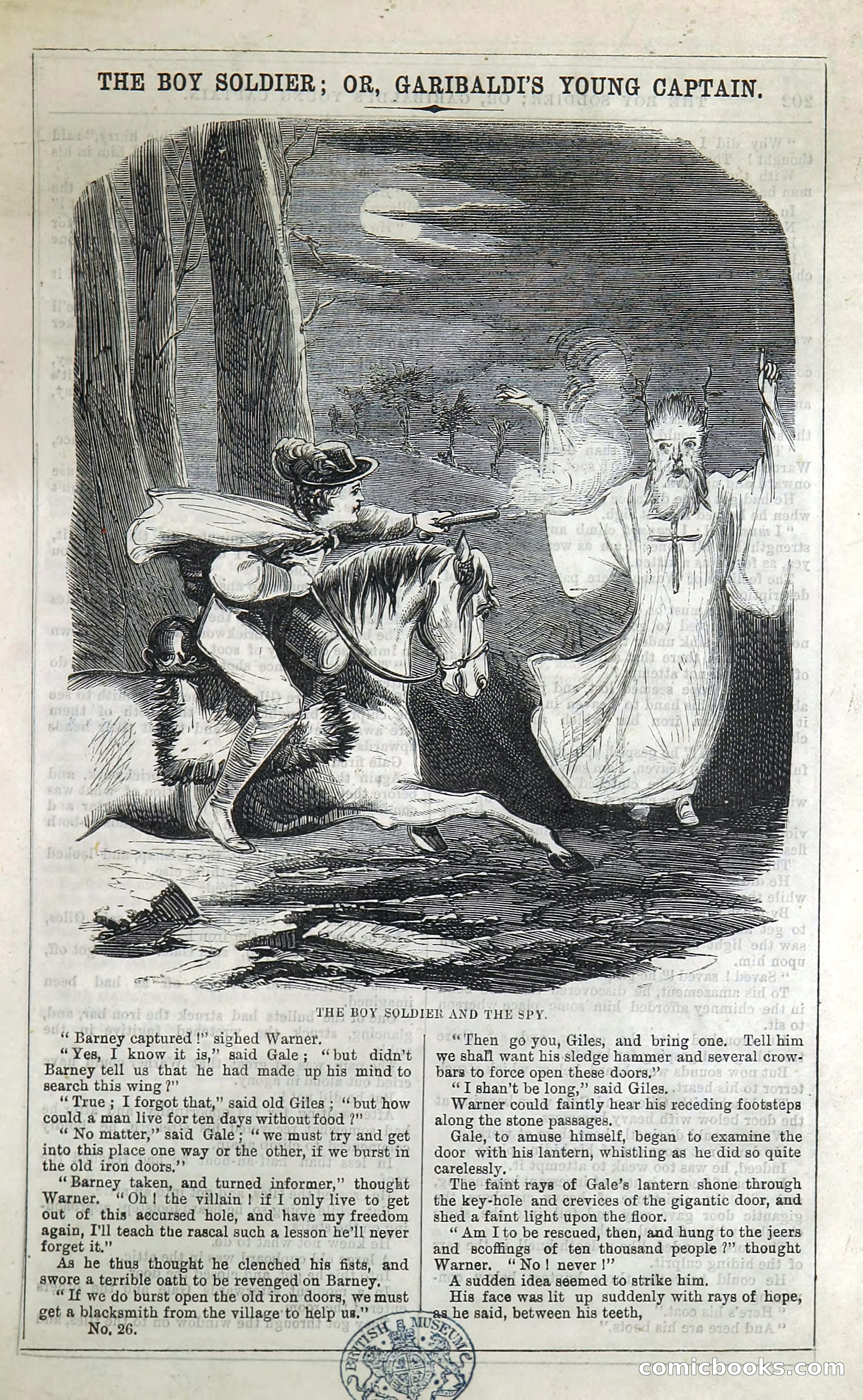The Boy Soldier; Or, Garibaldi's Young Captain — page 207 of 390