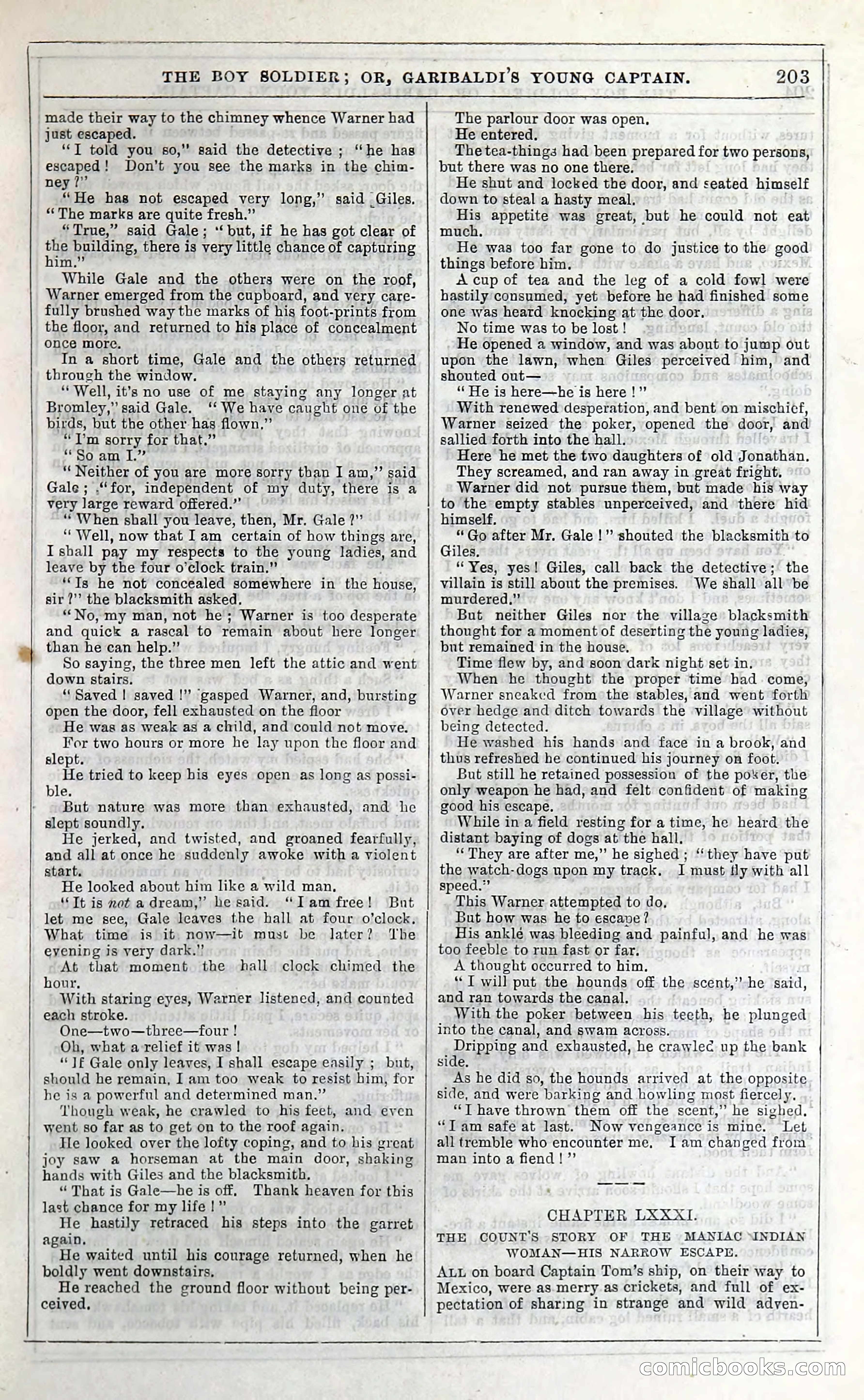 The Boy Soldier; Or, Garibaldi's Young Captain — page 209 of 390