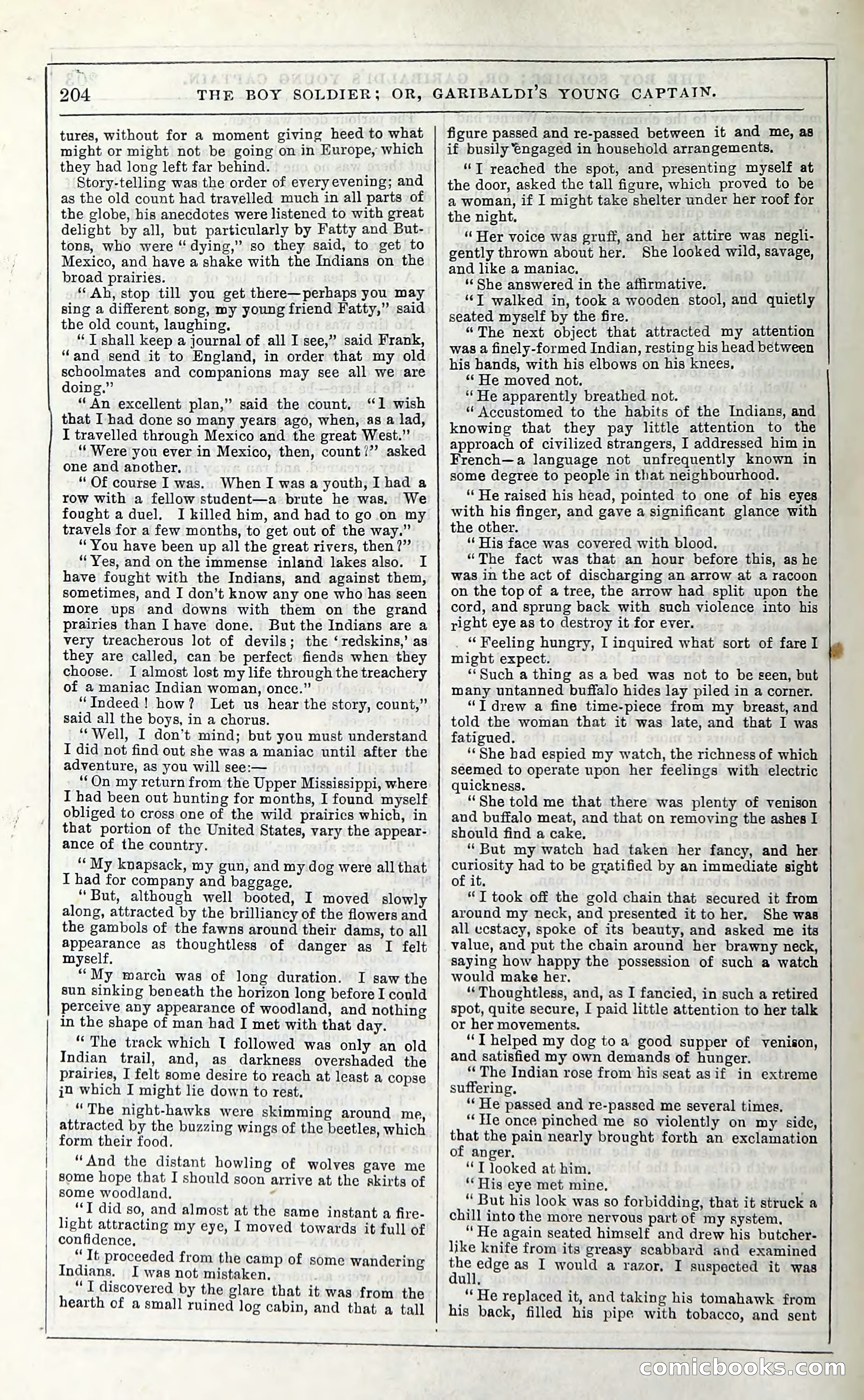 The Boy Soldier; Or, Garibaldi's Young Captain — page 210 of 390