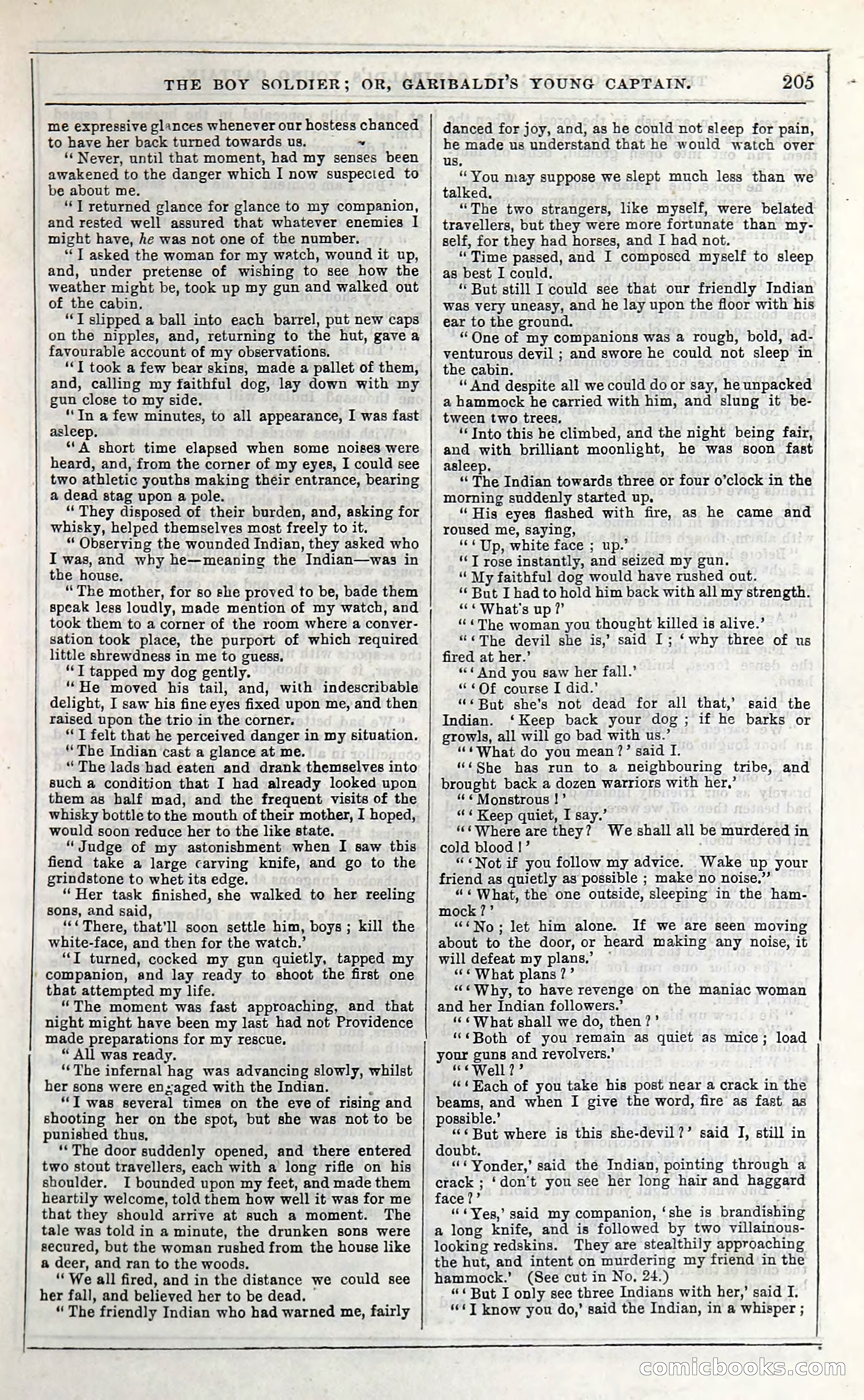 The Boy Soldier; Or, Garibaldi's Young Captain — page 211 of 390