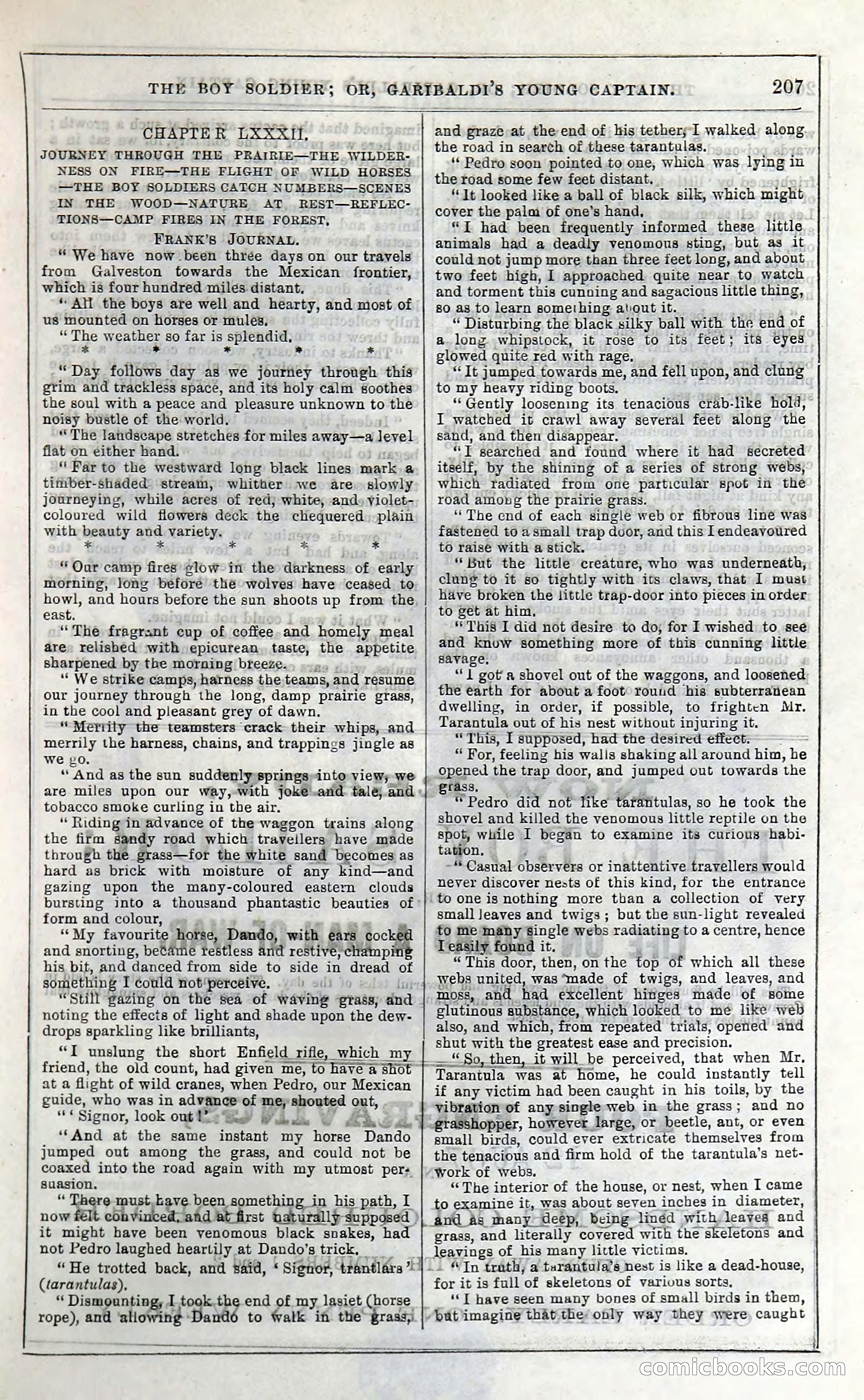 The Boy Soldier; Or, Garibaldi's Young Captain — page 213 of 390