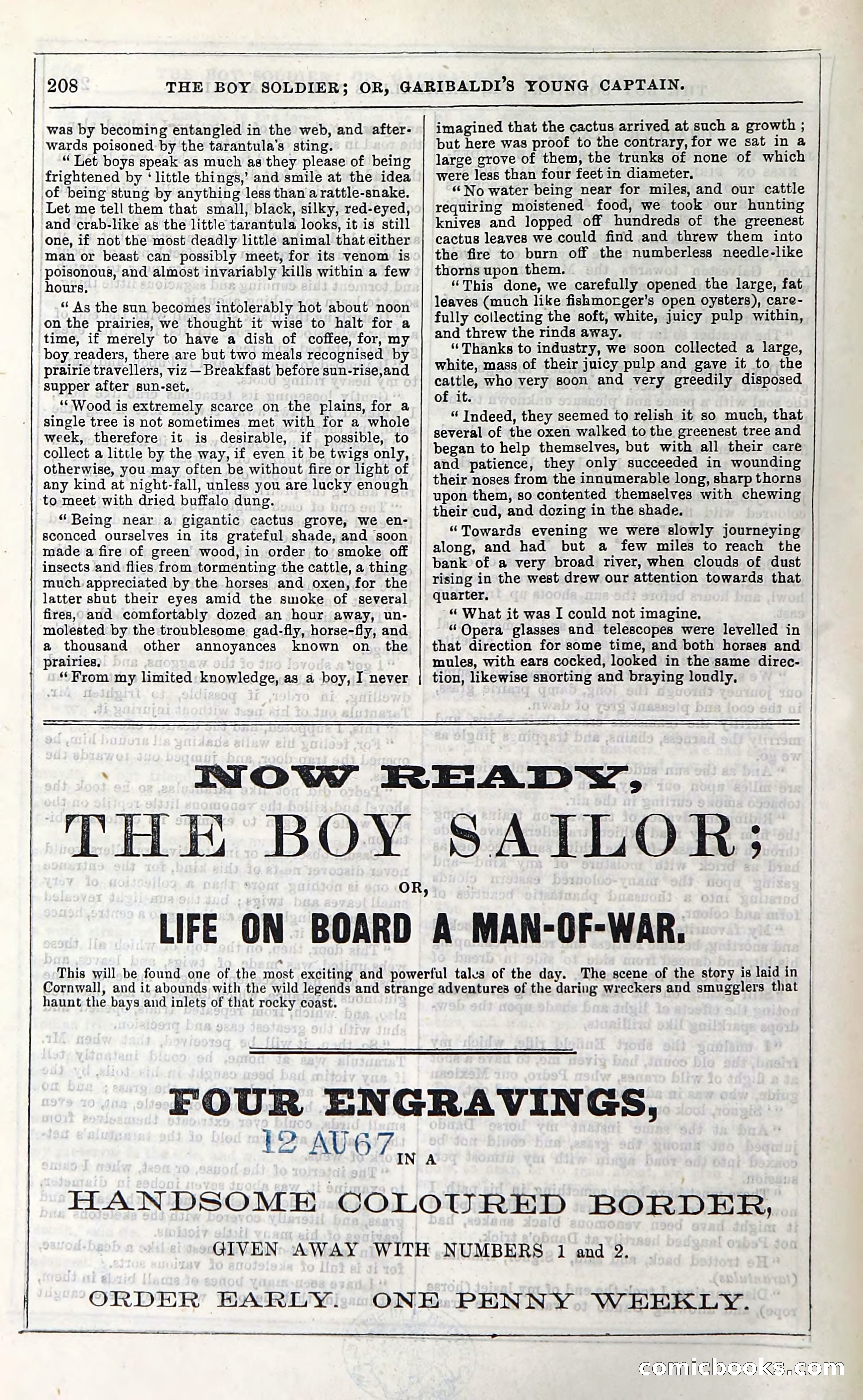 The Boy Soldier; Or, Garibaldi's Young Captain — page 214 of 390