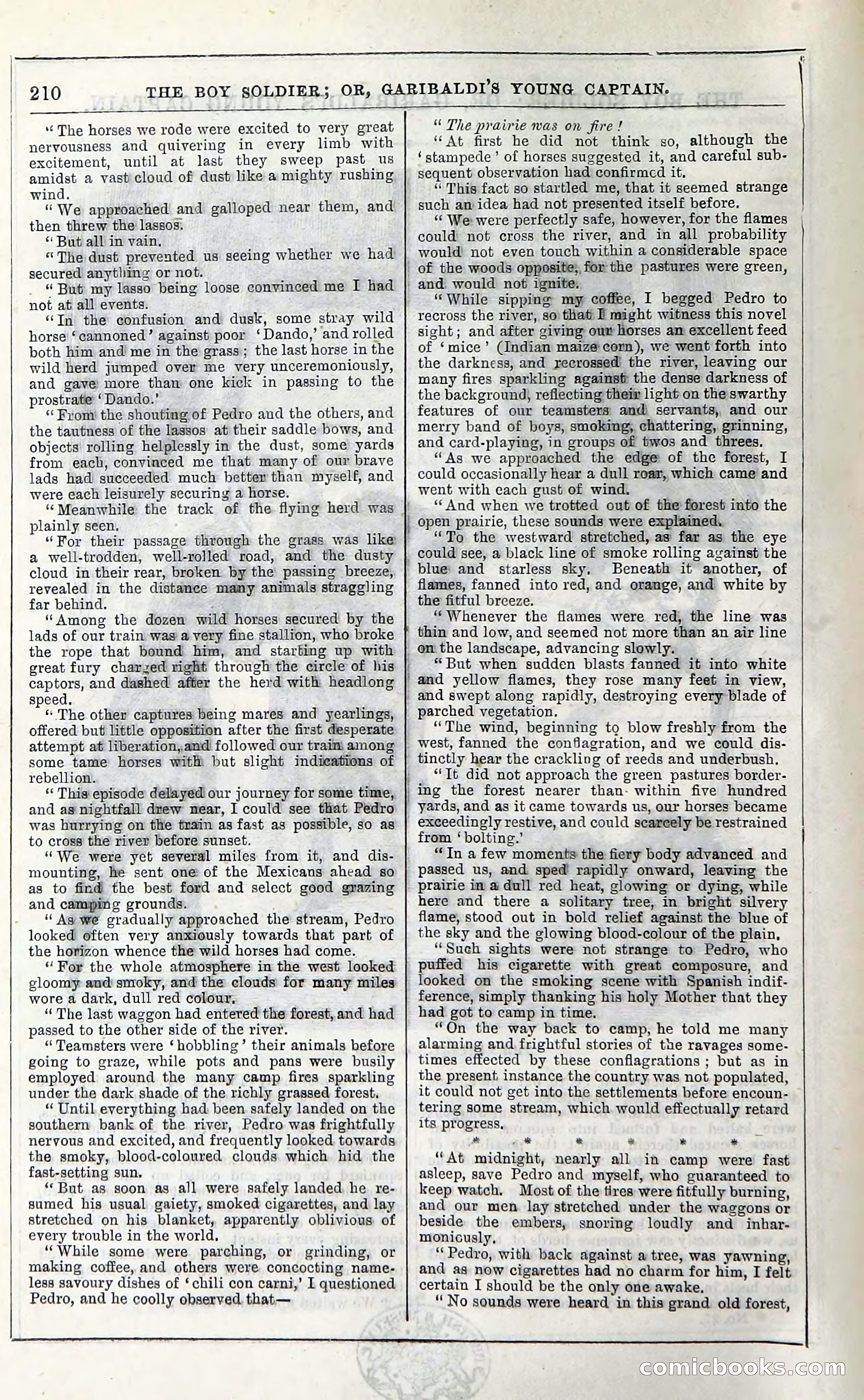 The Boy Soldier; Or, Garibaldi's Young Captain — page 216 of 390