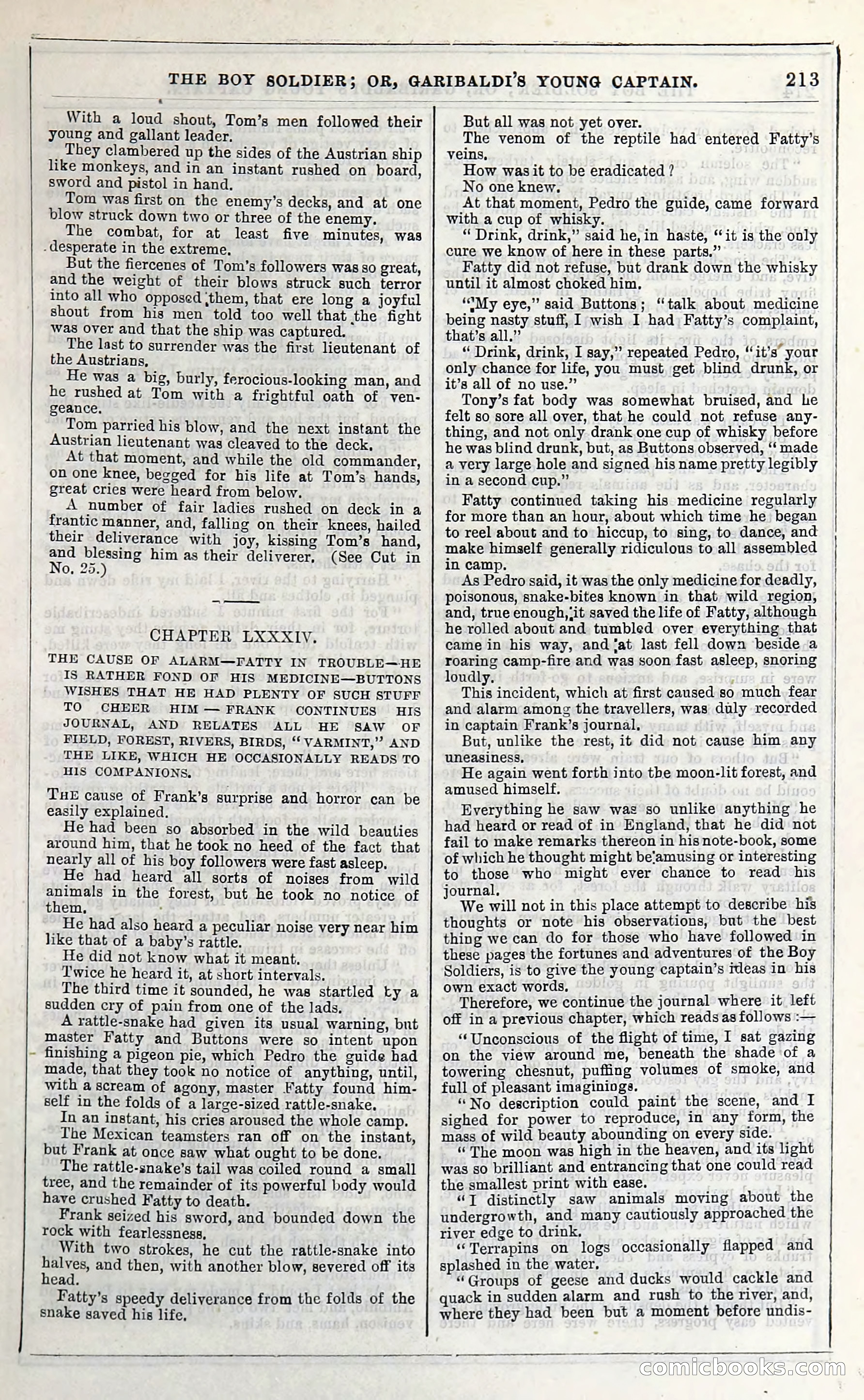 The Boy Soldier; Or, Garibaldi's Young Captain — page 219 of 390