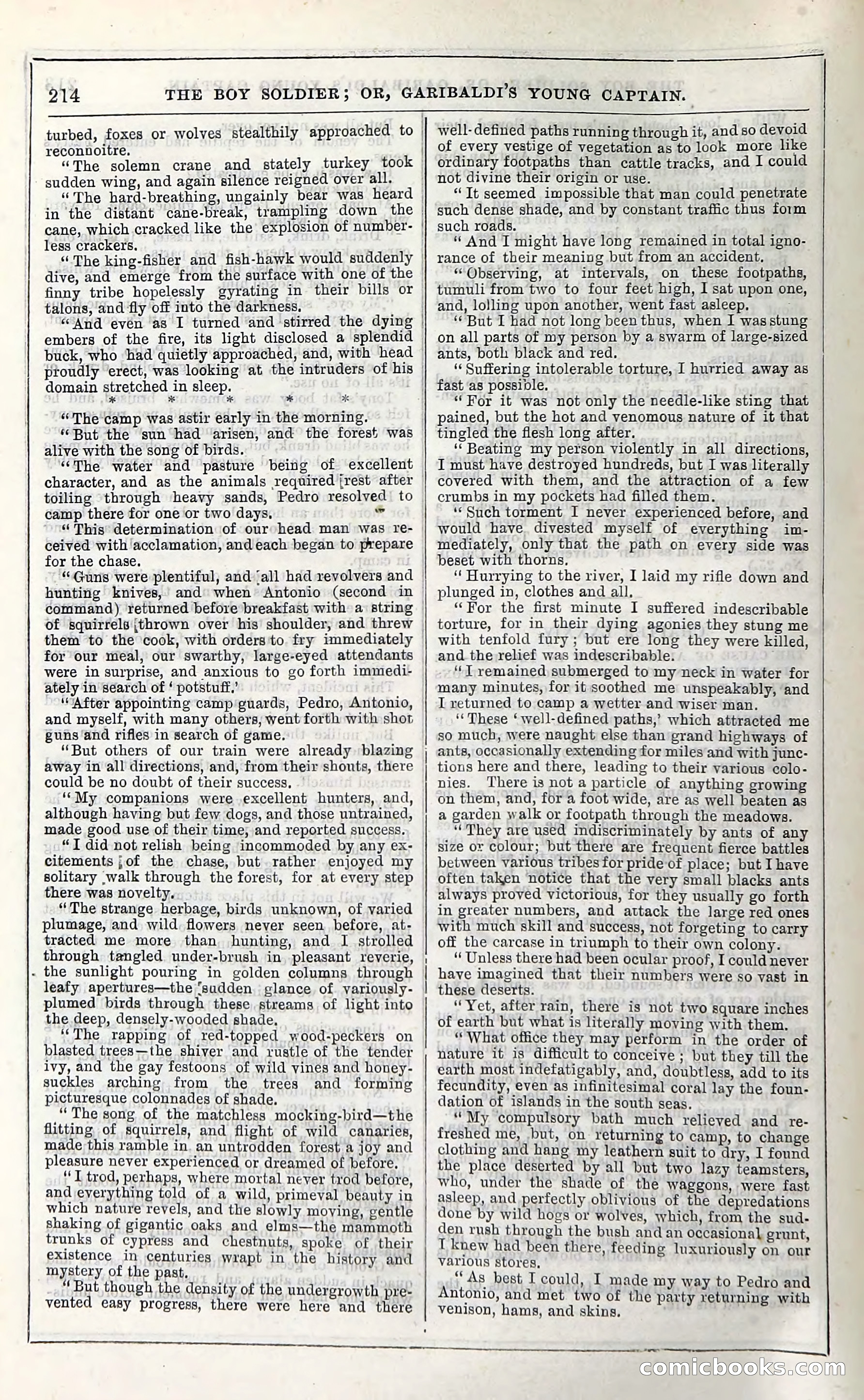 The Boy Soldier; Or, Garibaldi's Young Captain — page 220 of 390