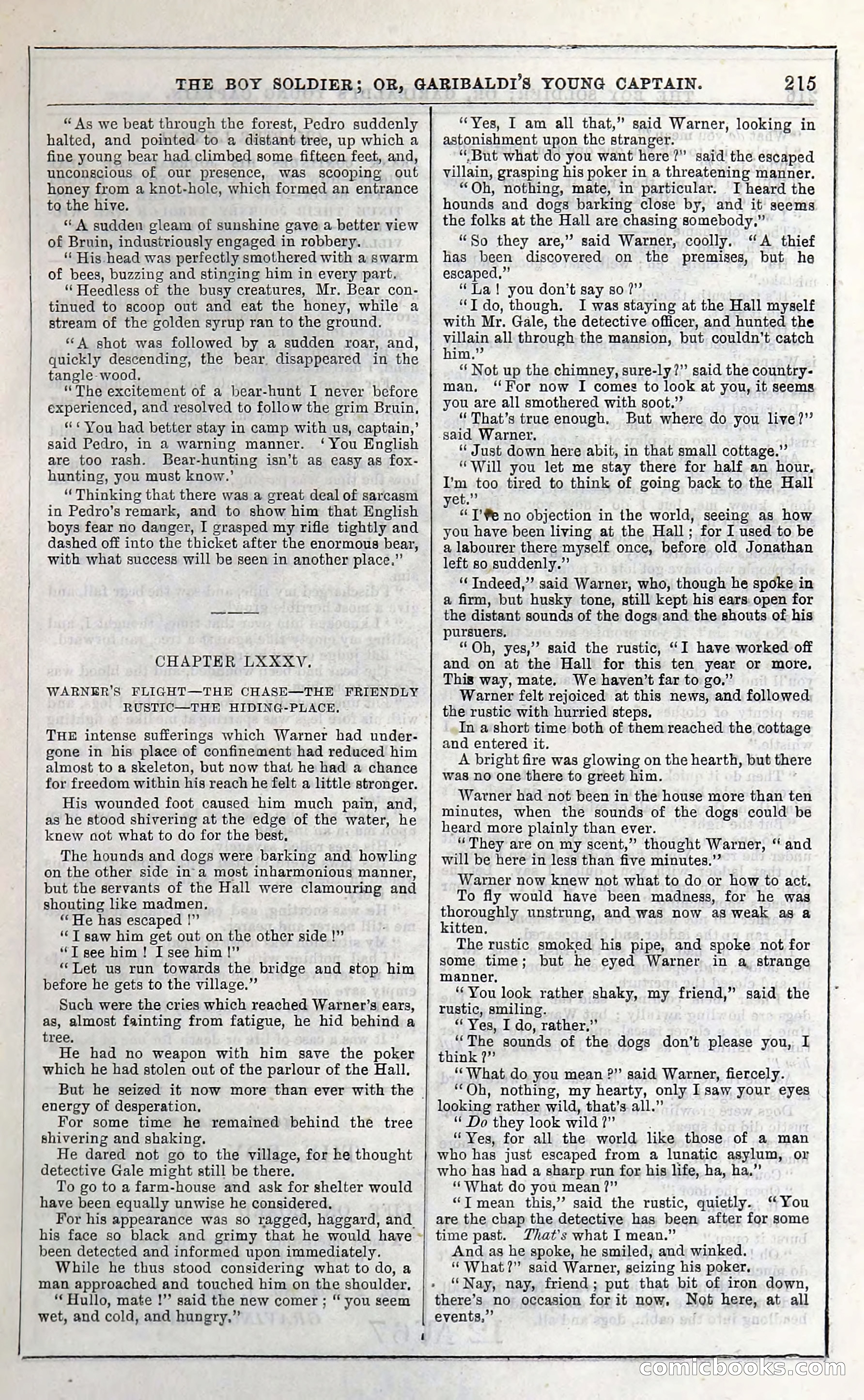 The Boy Soldier; Or, Garibaldi's Young Captain — page 221 of 390