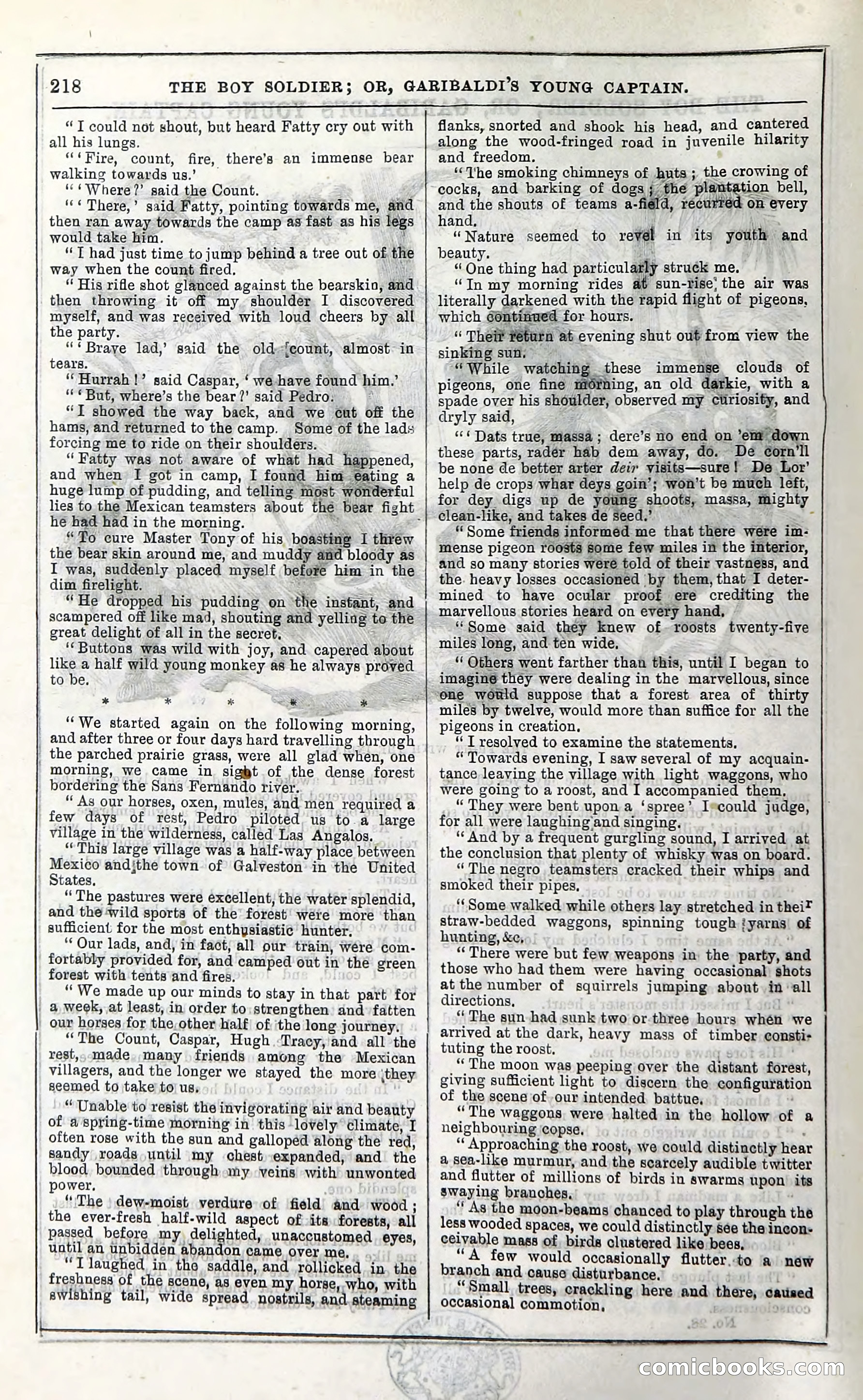 The Boy Soldier; Or, Garibaldi's Young Captain — page 224 of 390