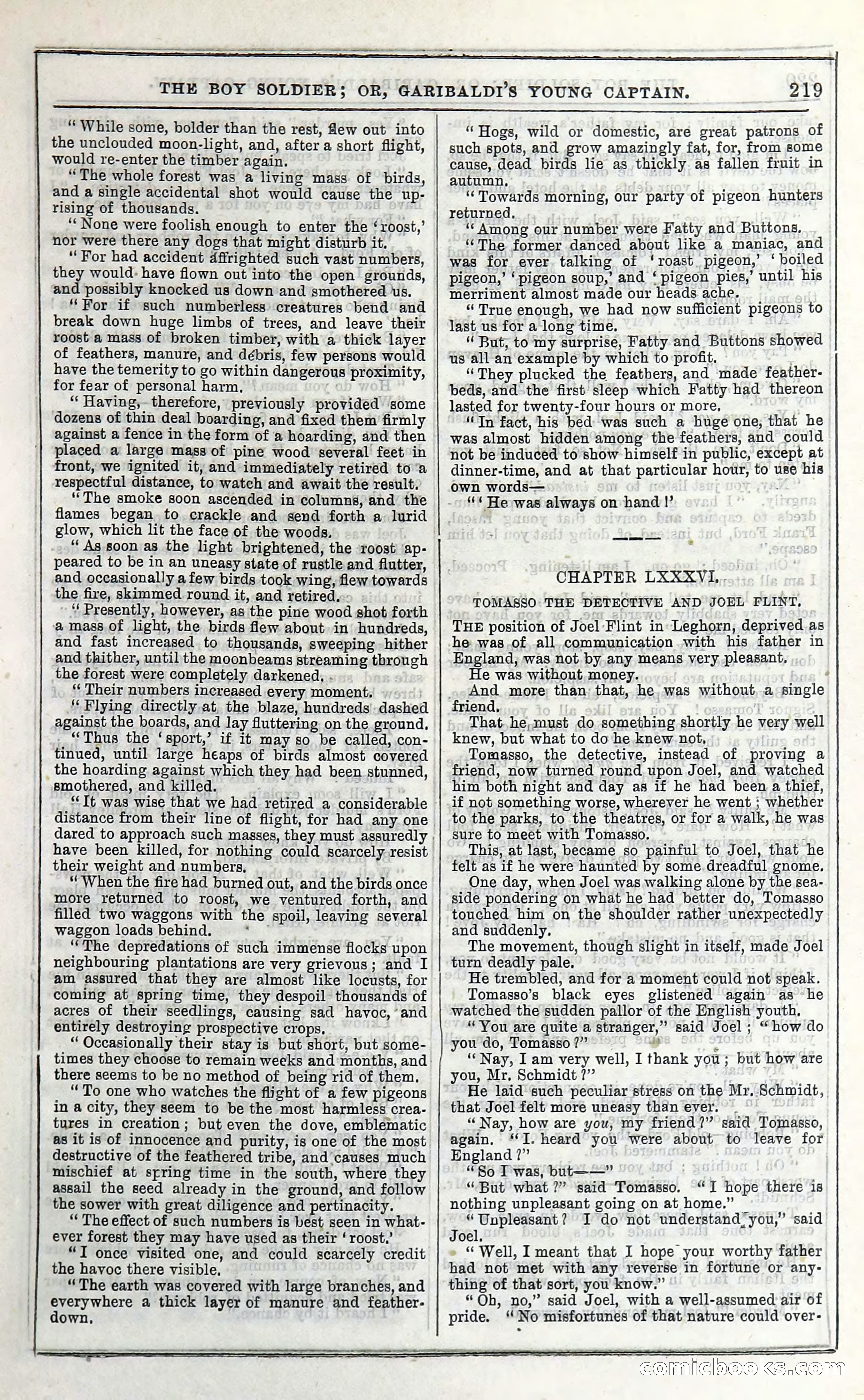 The Boy Soldier; Or, Garibaldi's Young Captain — page 225 of 390