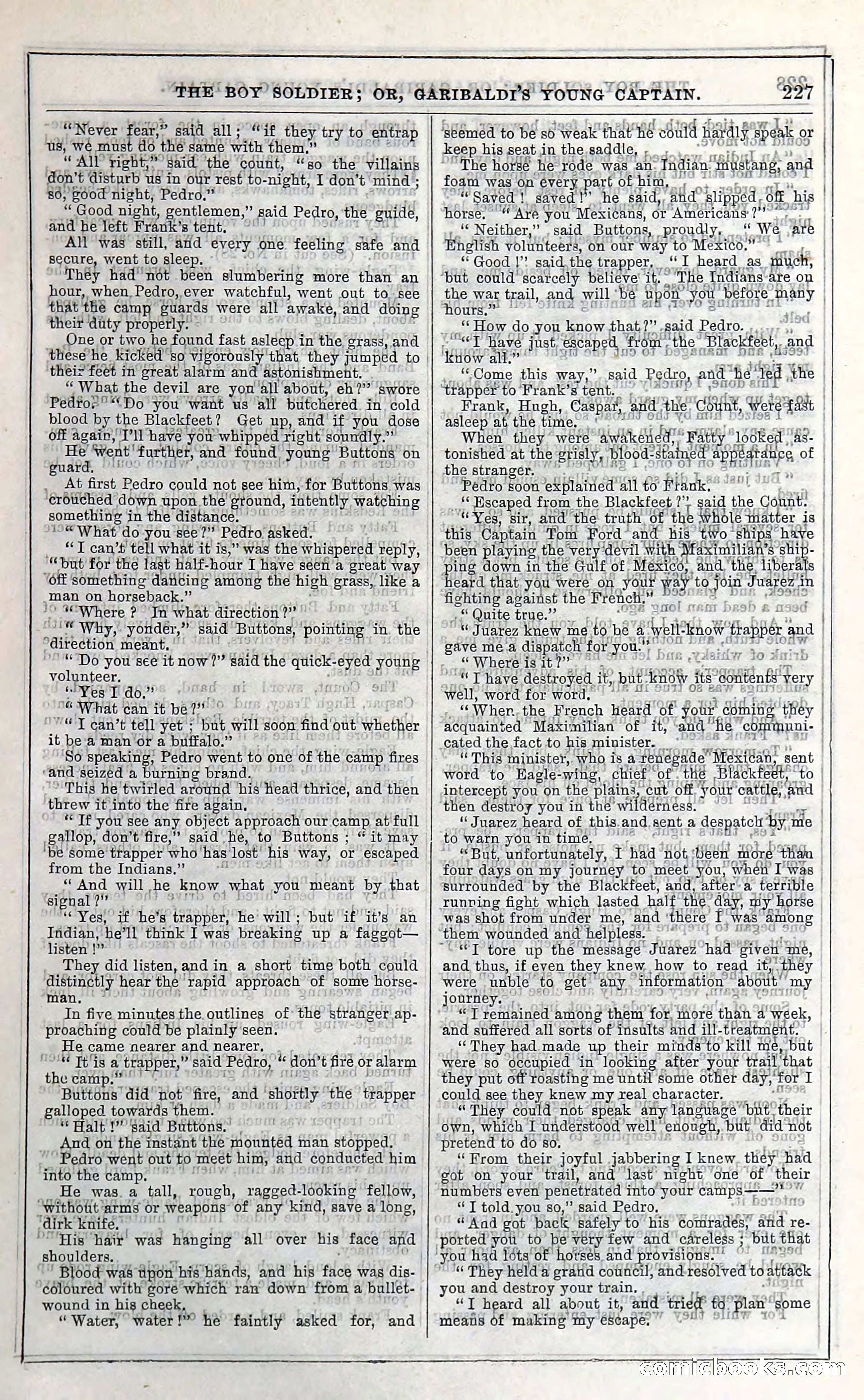 The Boy Soldier; Or, Garibaldi's Young Captain — page 233 of 390