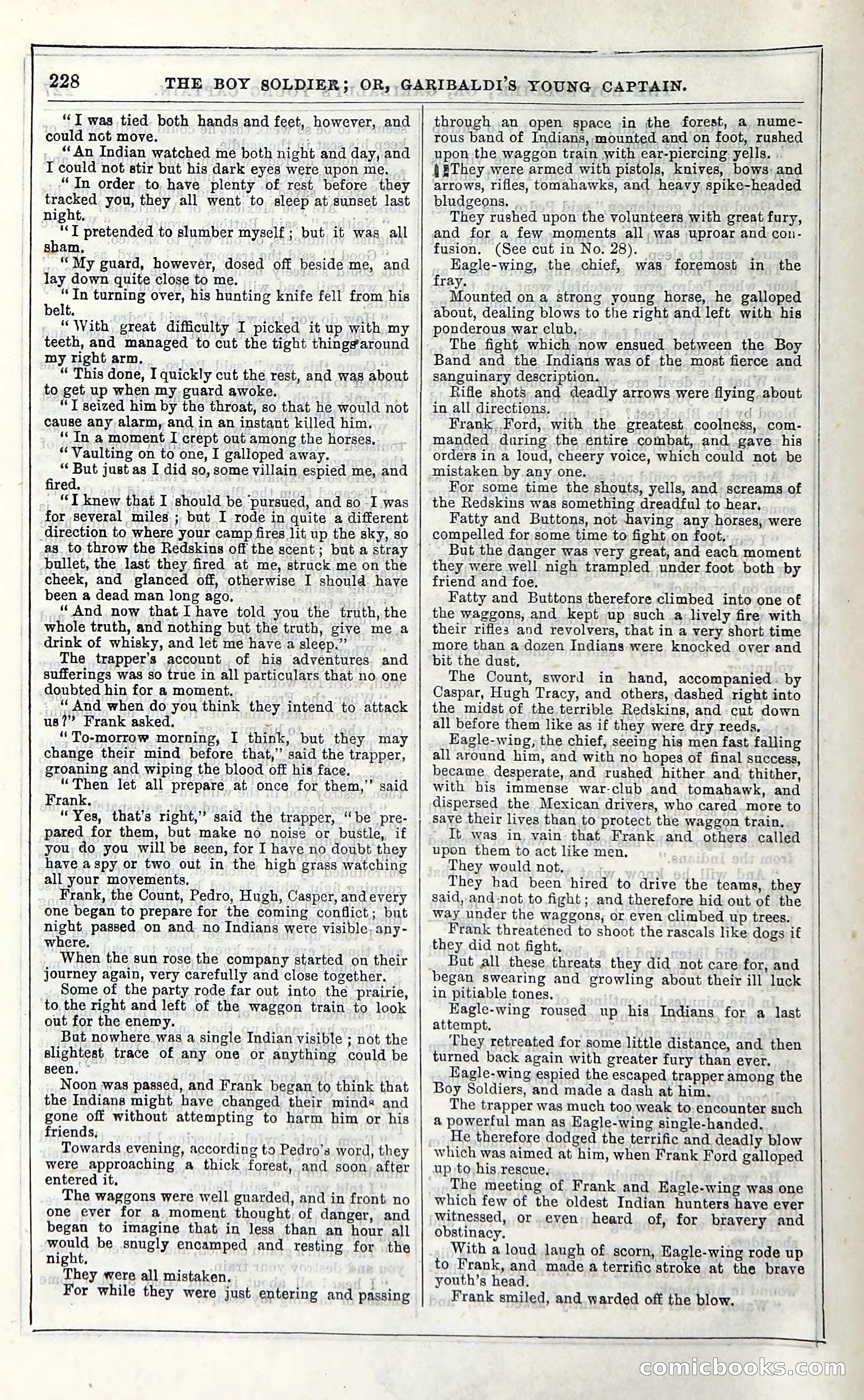 The Boy Soldier; Or, Garibaldi's Young Captain — page 234 of 390