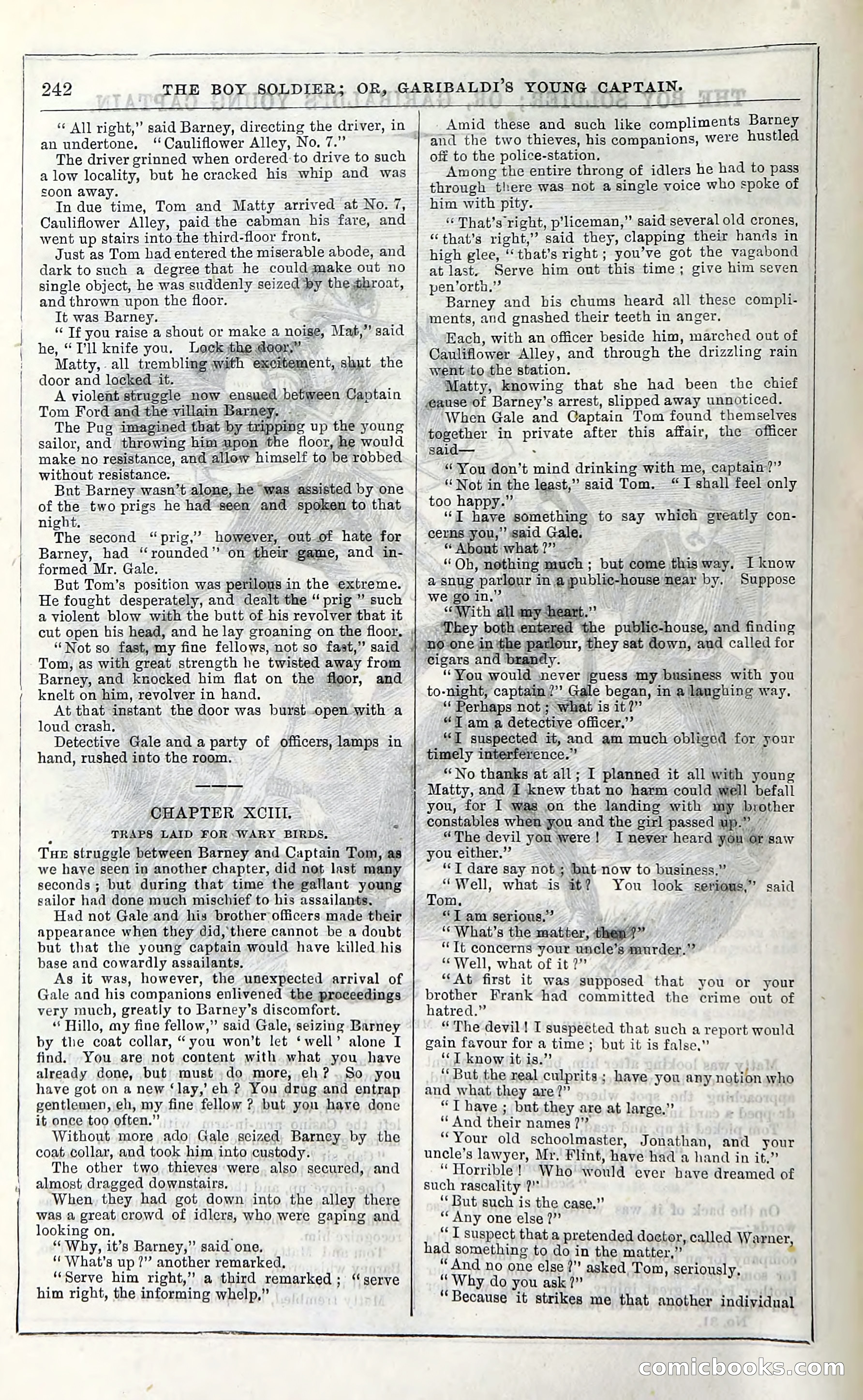 The Boy Soldier; Or, Garibaldi's Young Captain — page 248 of 390