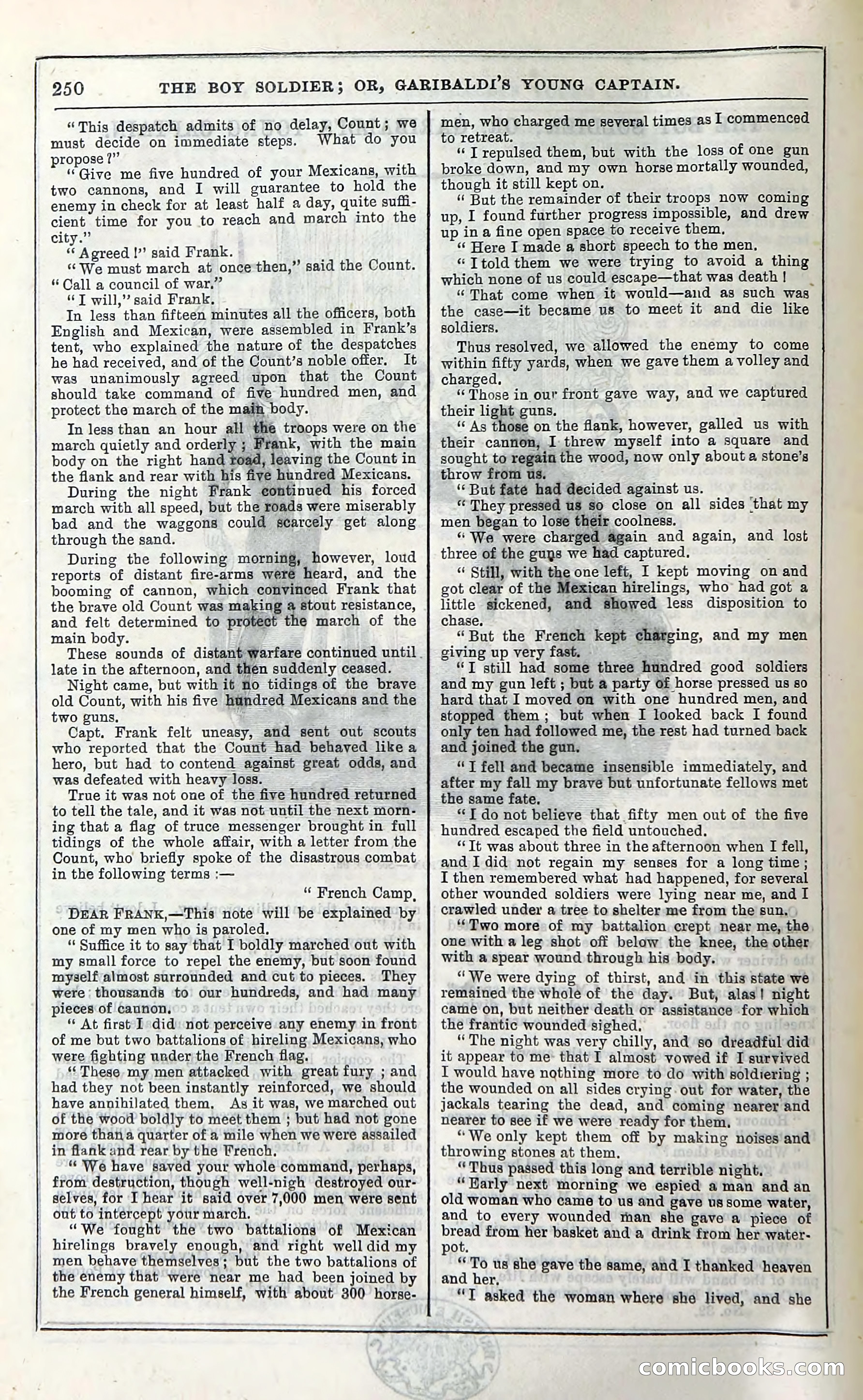 The Boy Soldier; Or, Garibaldi's Young Captain — page 256 of 390