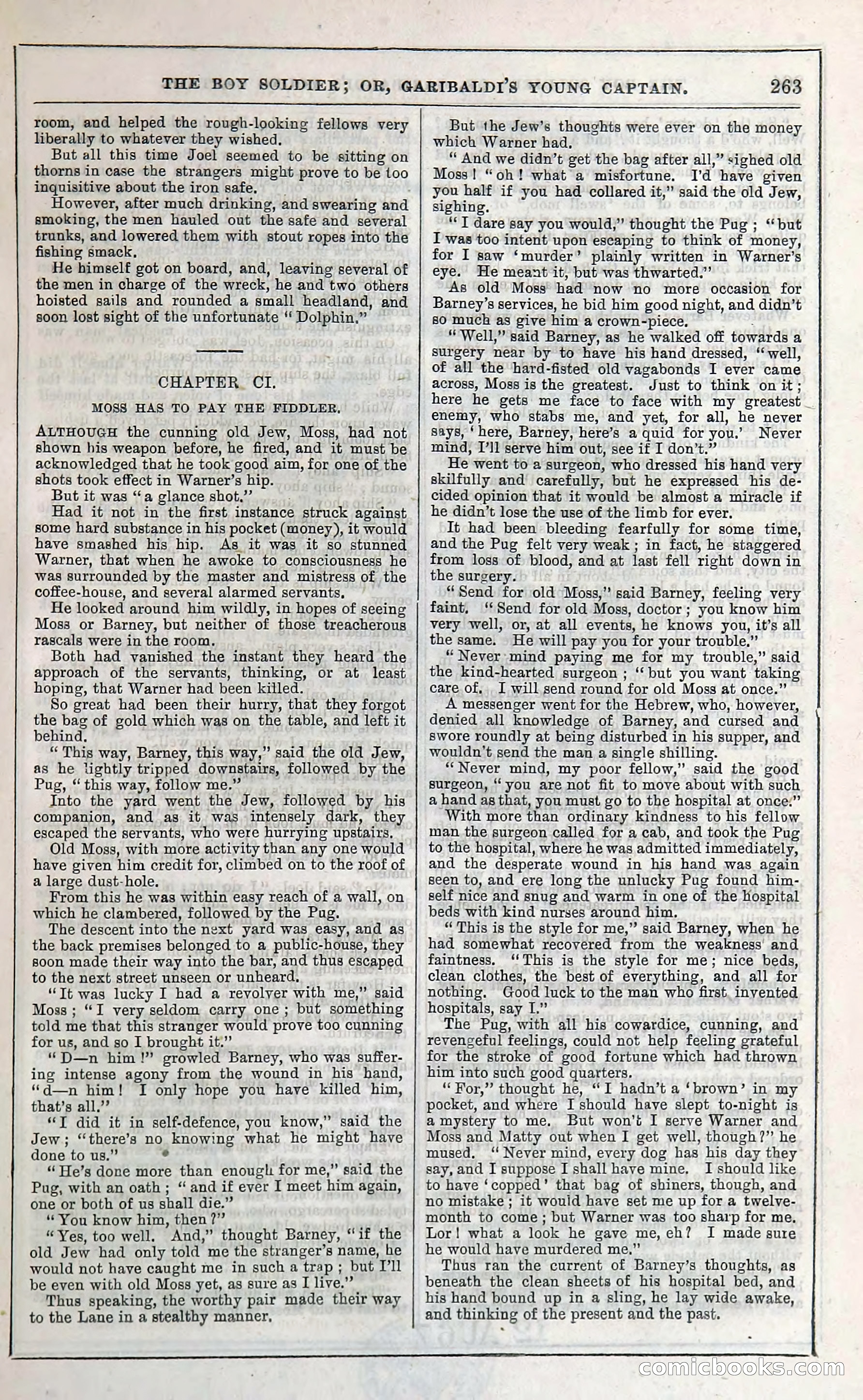 The Boy Soldier; Or, Garibaldi's Young Captain — page 269 of 390