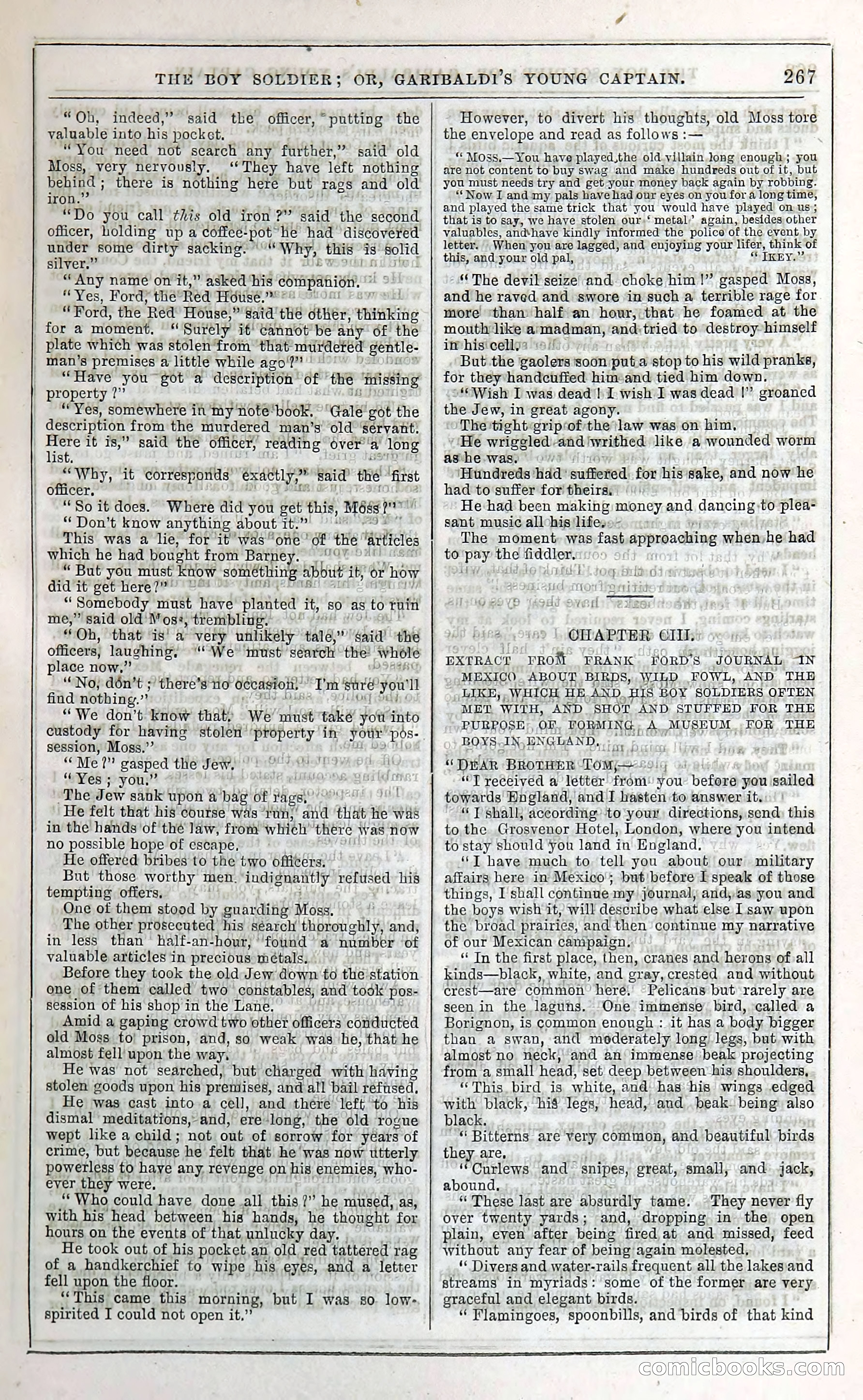 The Boy Soldier; Or, Garibaldi's Young Captain — page 273 of 390