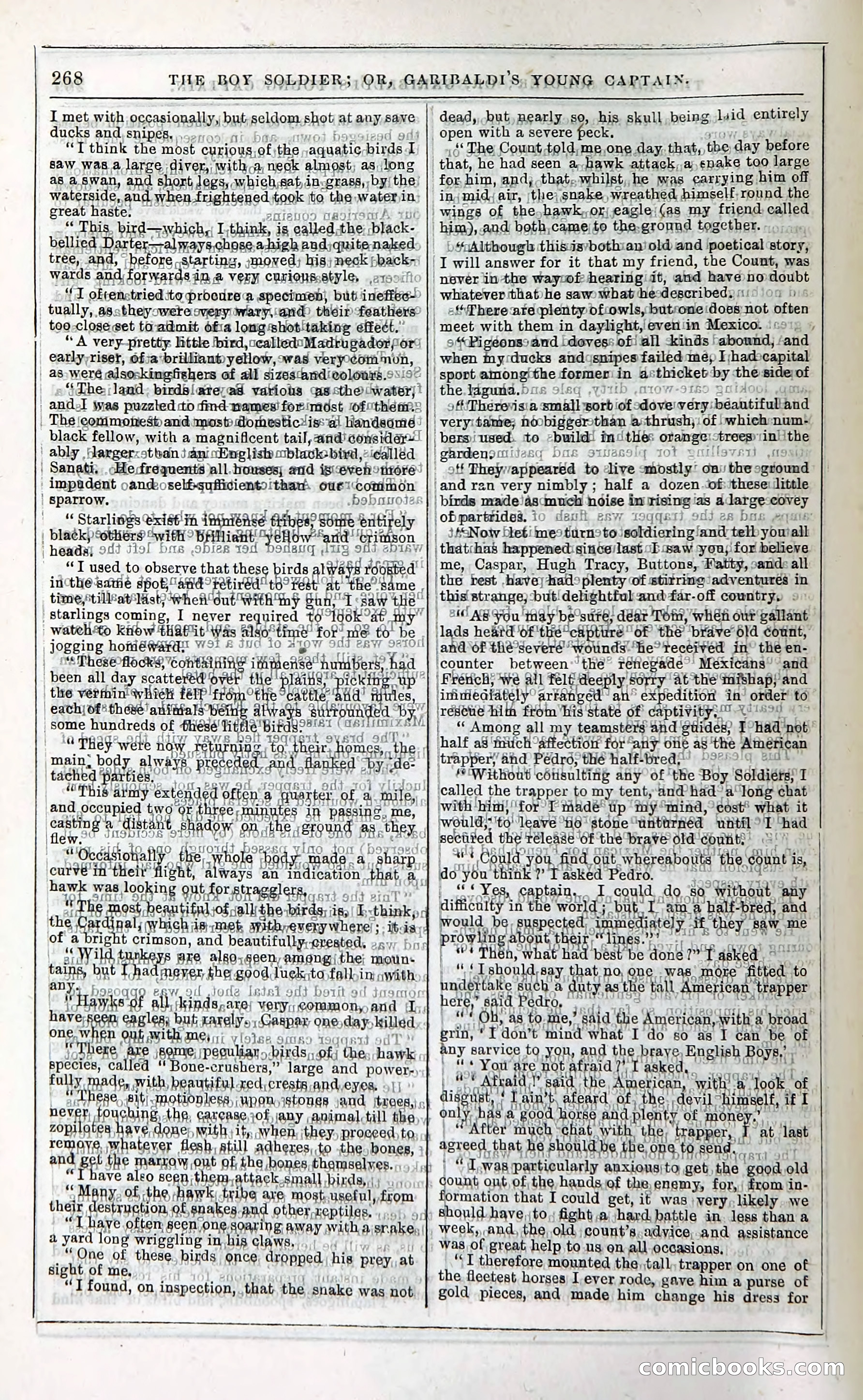 The Boy Soldier; Or, Garibaldi's Young Captain — page 274 of 390