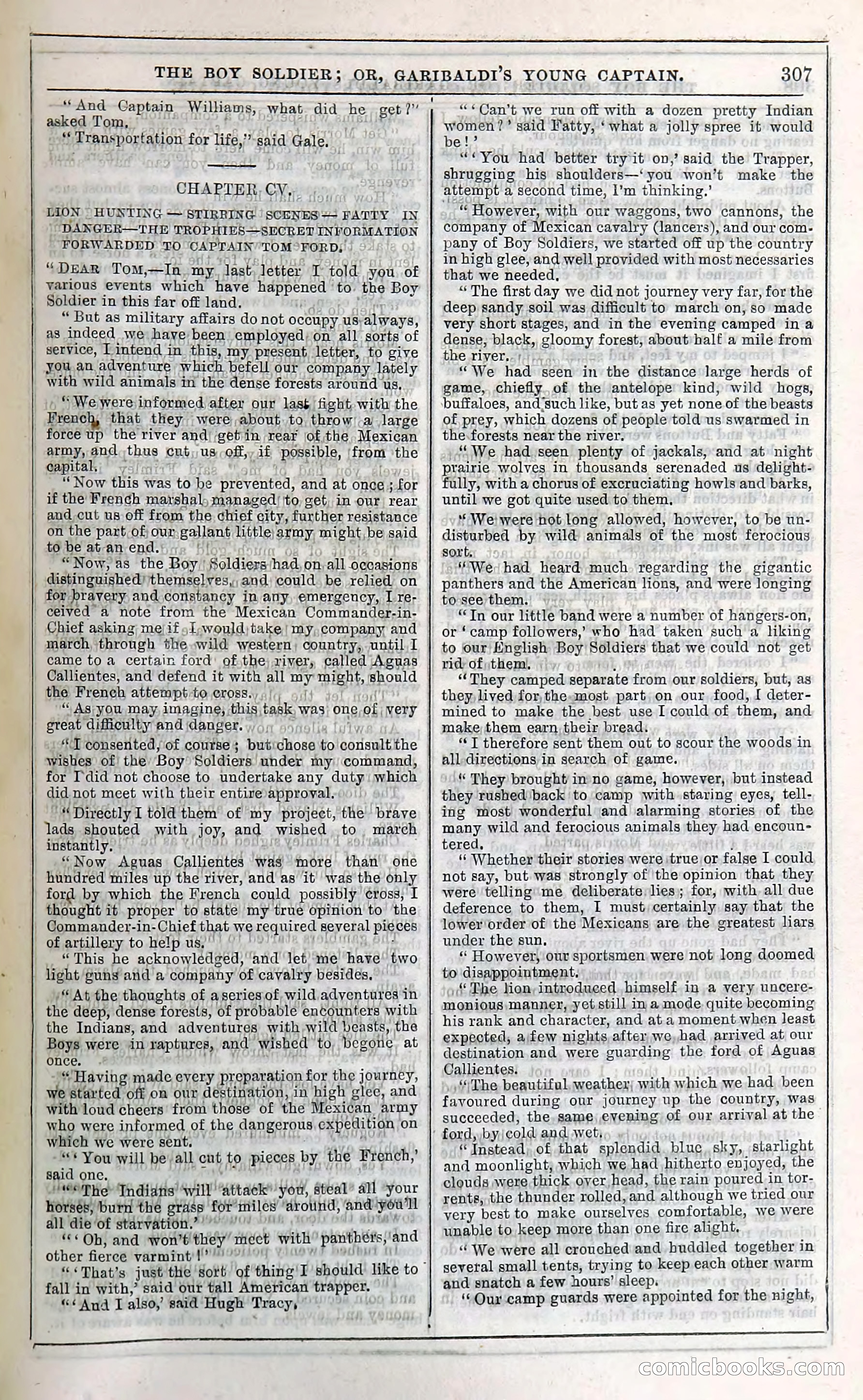 The Boy Soldier; Or, Garibaldi's Young Captain — page 313 of 390