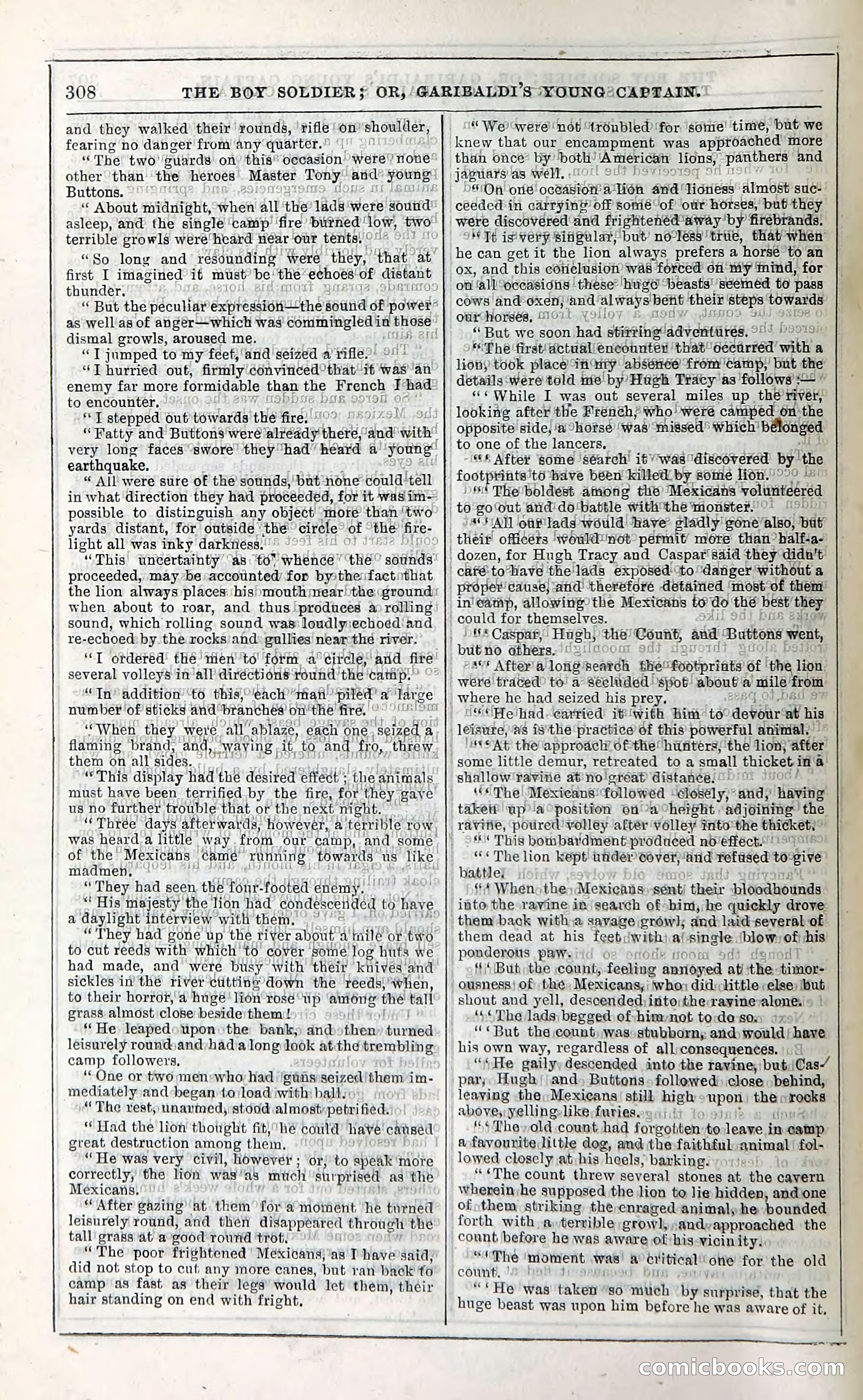 The Boy Soldier; Or, Garibaldi's Young Captain — page 314 of 390