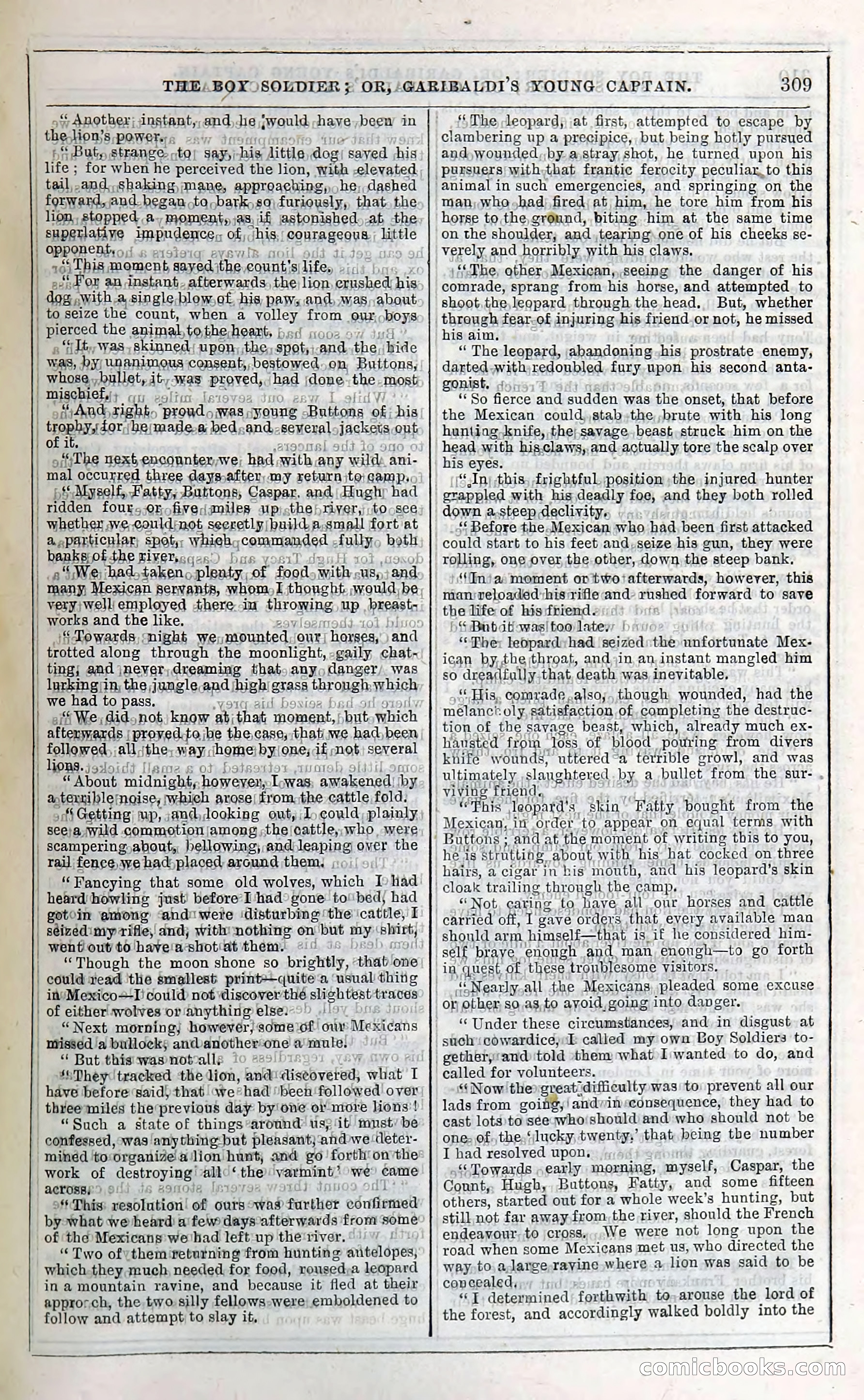 The Boy Soldier; Or, Garibaldi's Young Captain — page 315 of 390