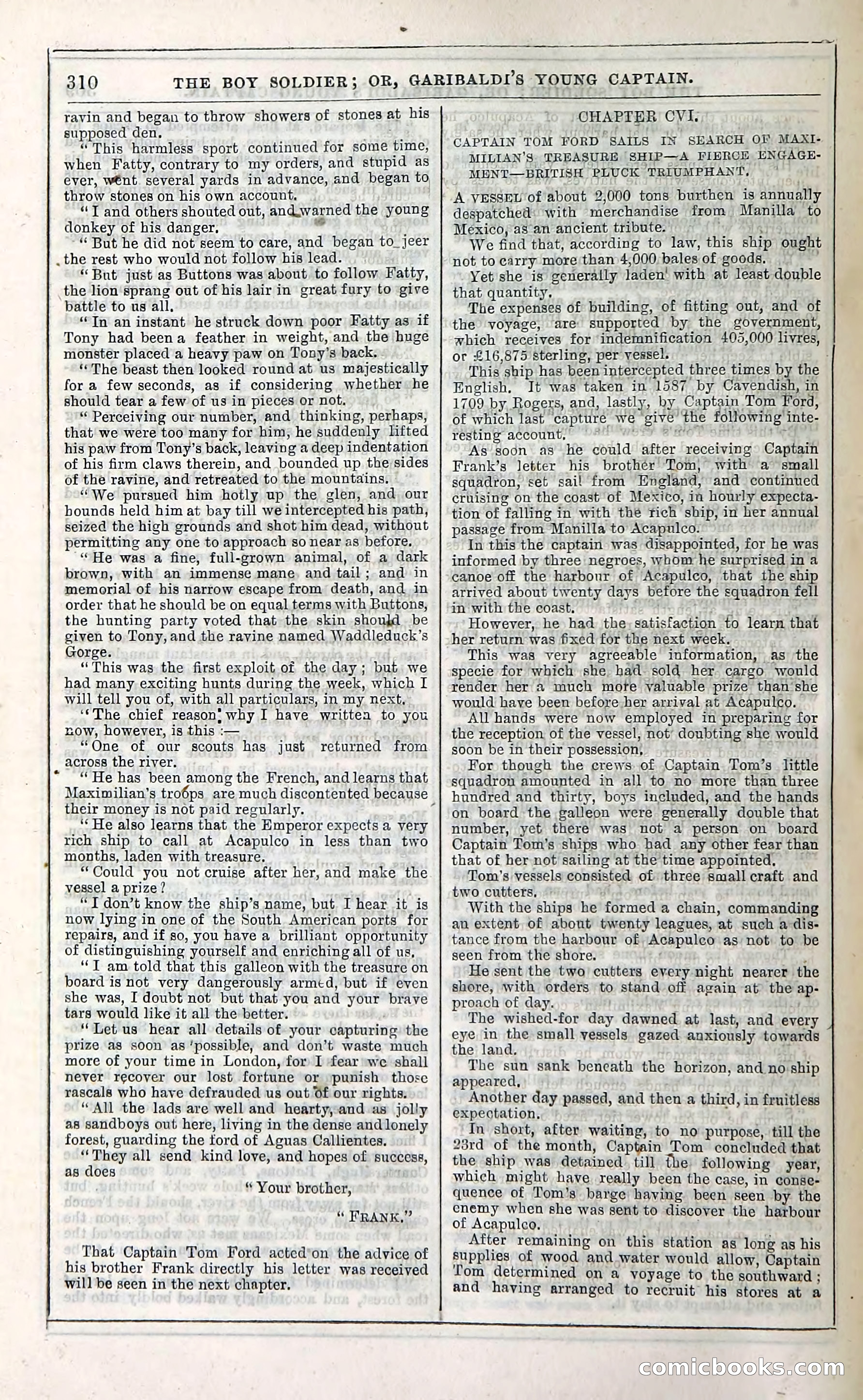 The Boy Soldier; Or, Garibaldi's Young Captain — page 316 of 390
