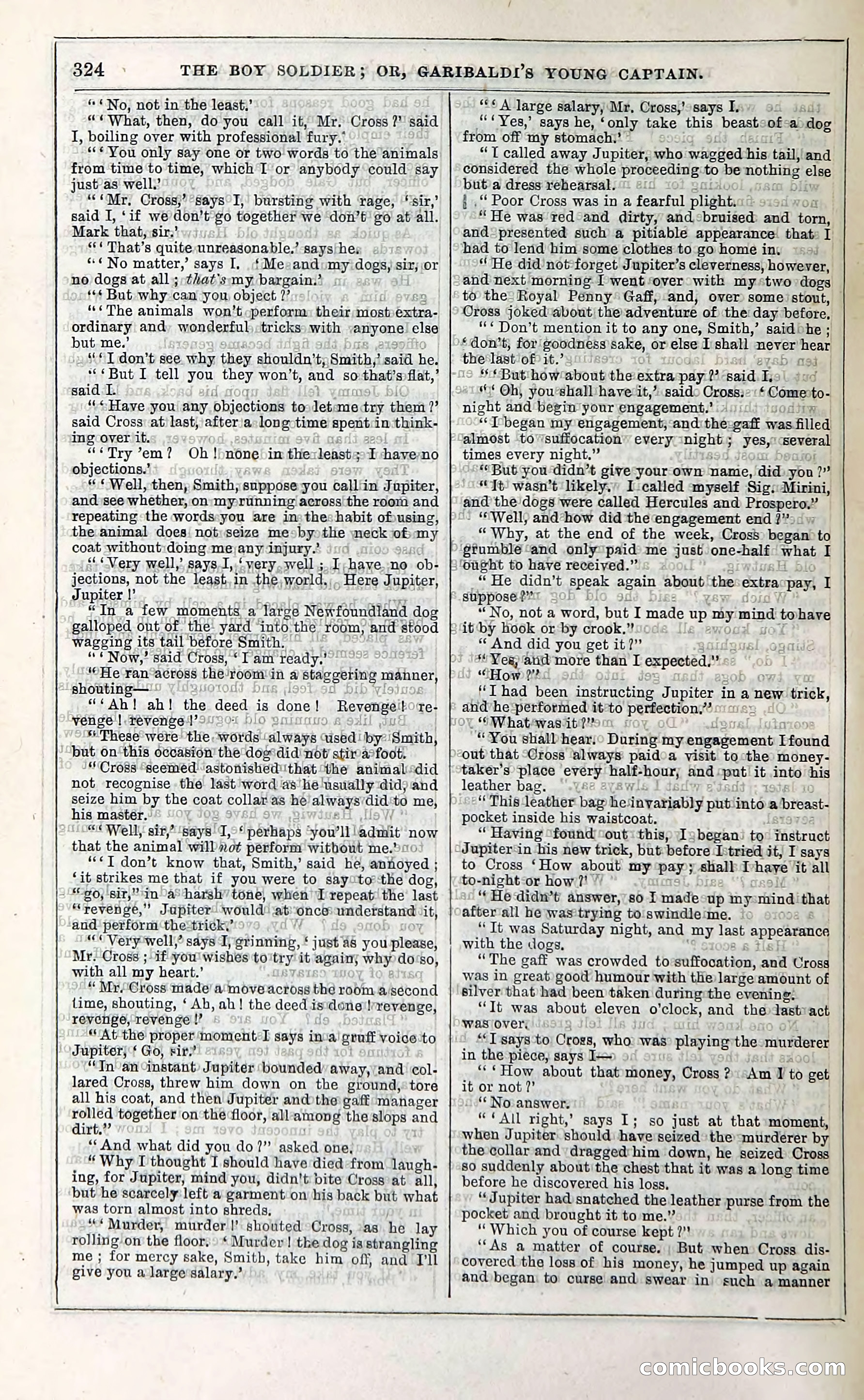 The Boy Soldier; Or, Garibaldi's Young Captain — page 330 of 390