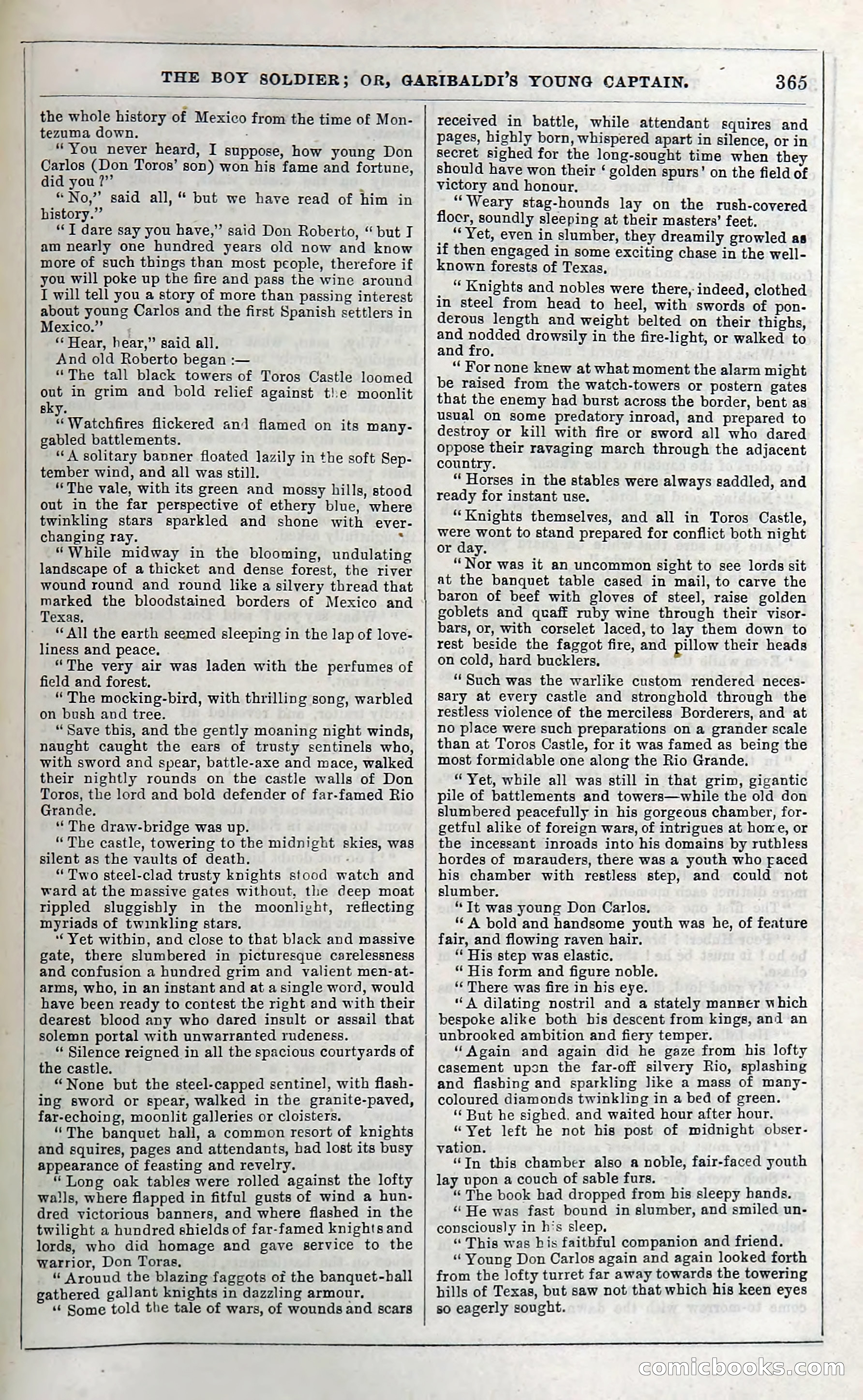 The Boy Soldier; Or, Garibaldi's Young Captain — page 371 of 390
