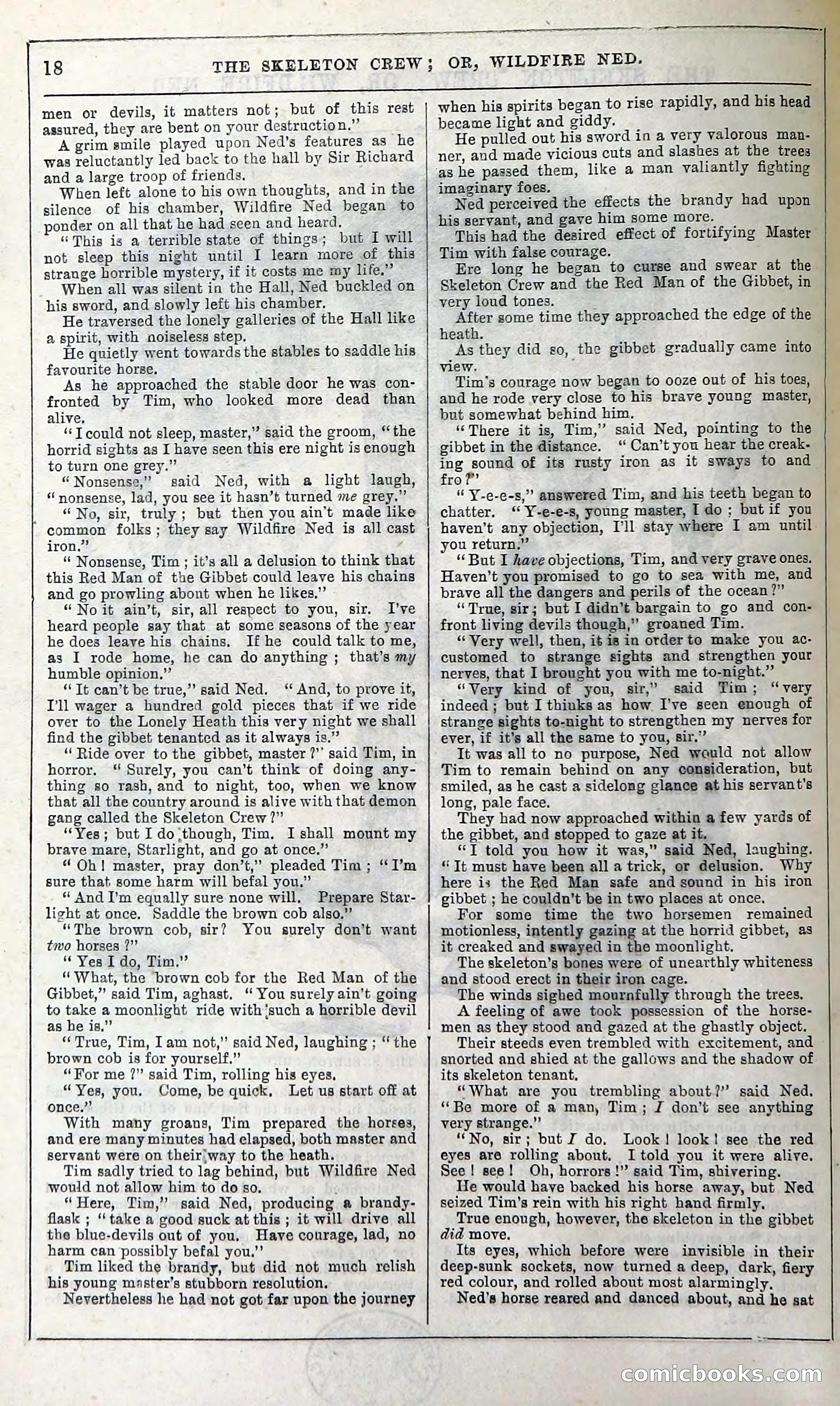 The Skeleton Crew; Or, Wildfire Ned — page 24 of 196